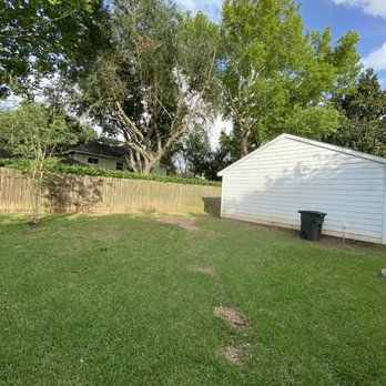  for Greenfield Tree Services in Manvel, TX