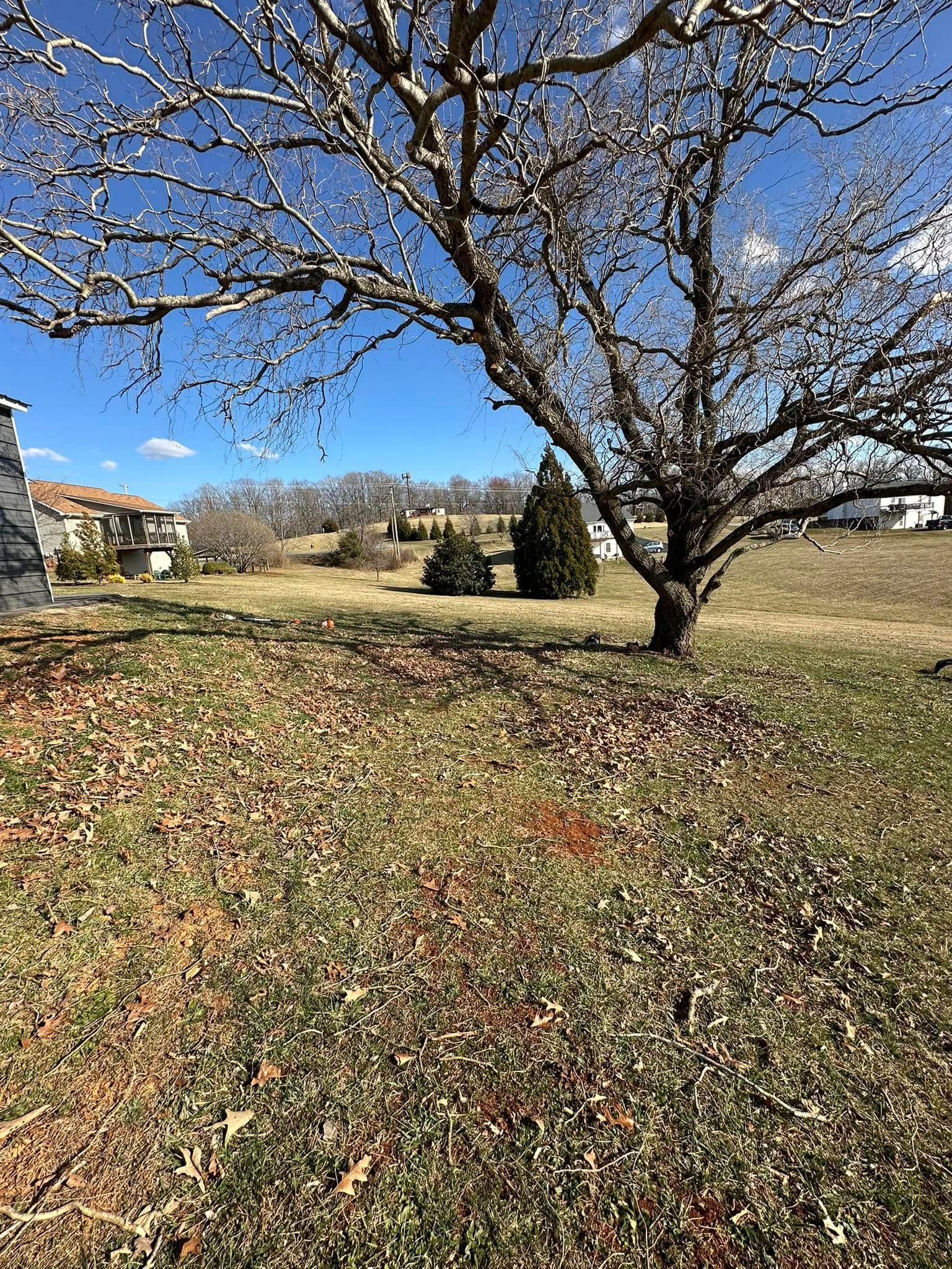 All Photos for Adkins Solutions LLC in Goodview, VA