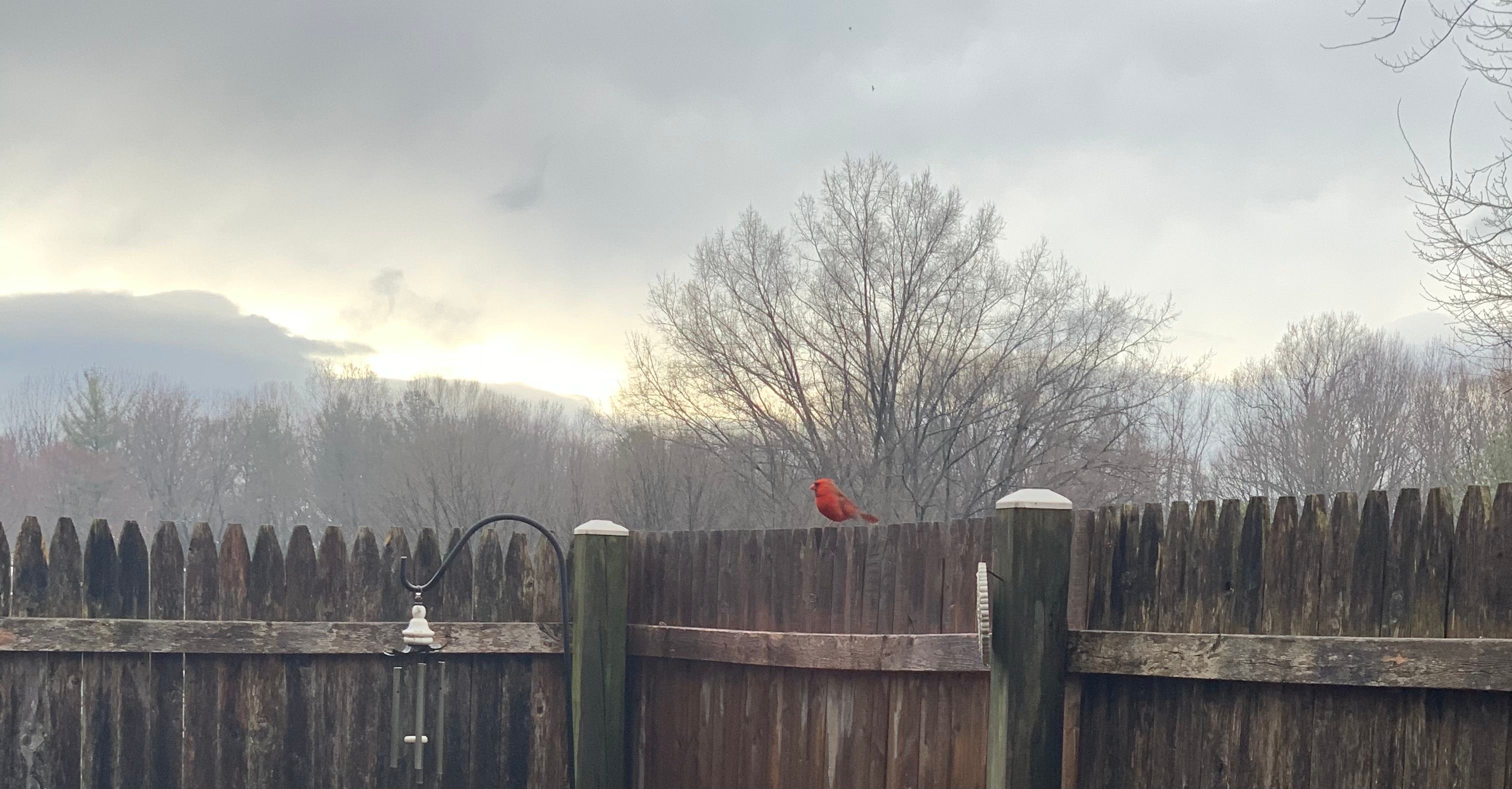  for R Merkli Inc. in Mount Vernon , VA