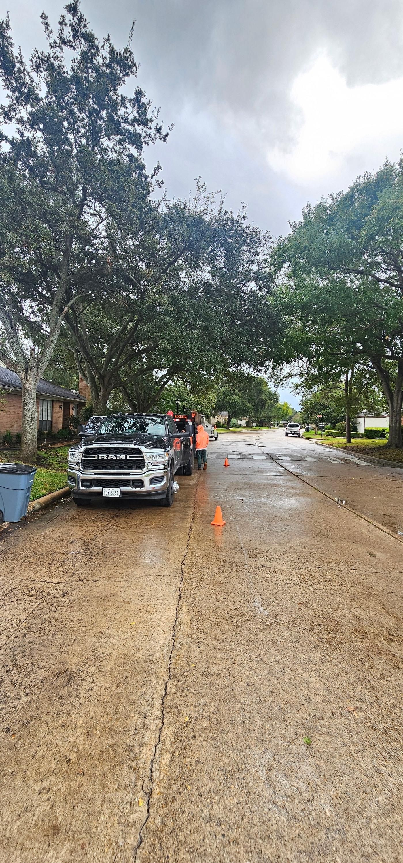  for Servin's Tree Care  in Houston, TX