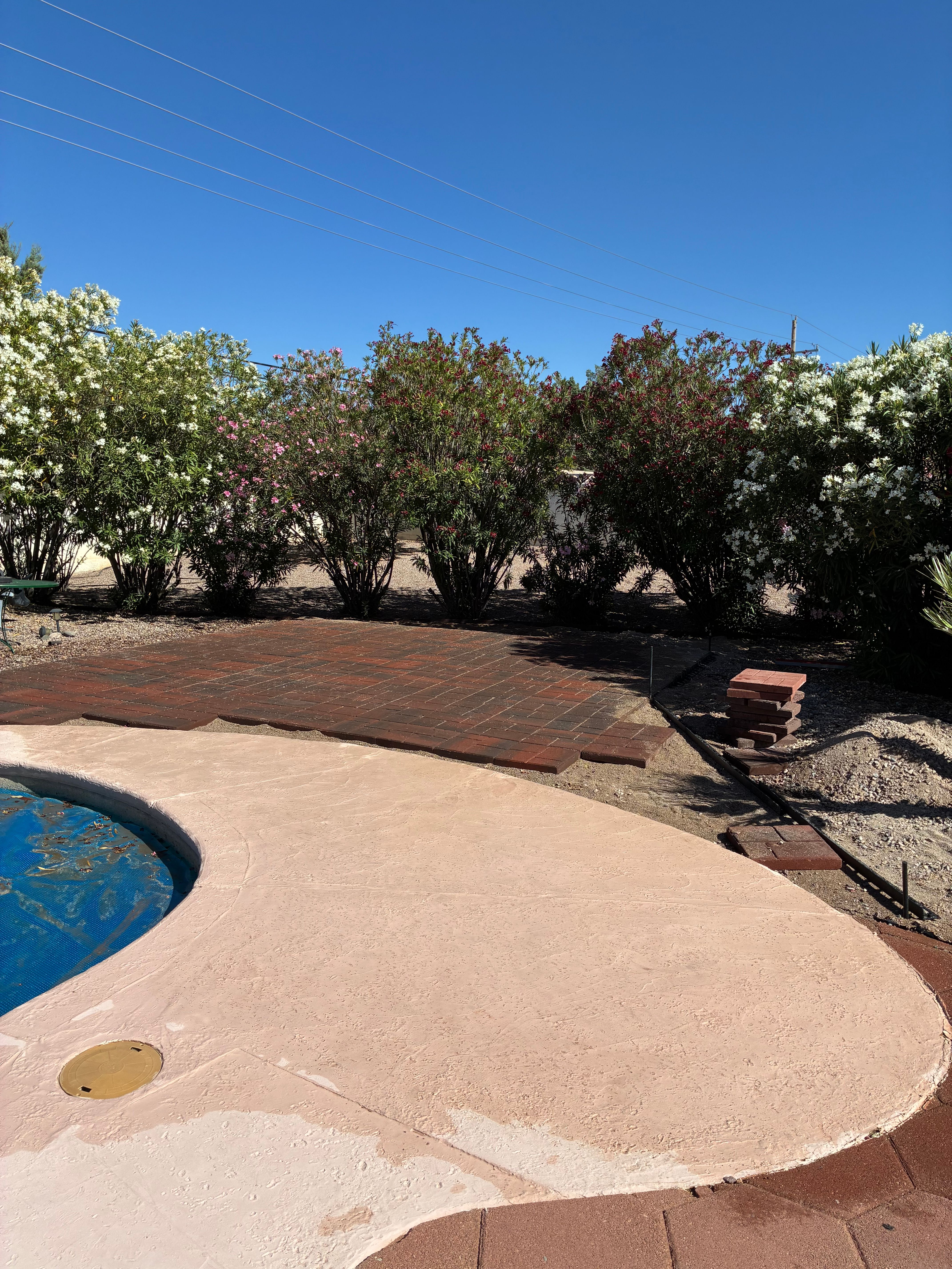  for Borquez Desert Roots LLC in Sierra Vista, AZ