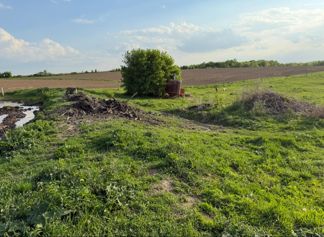  for Dittrich Excavating in Altura, MN