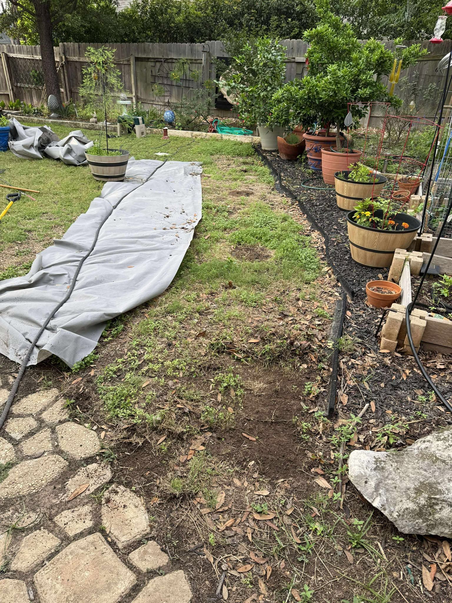 All Photos for Fresh Yards Landscaping in Austin, Texas