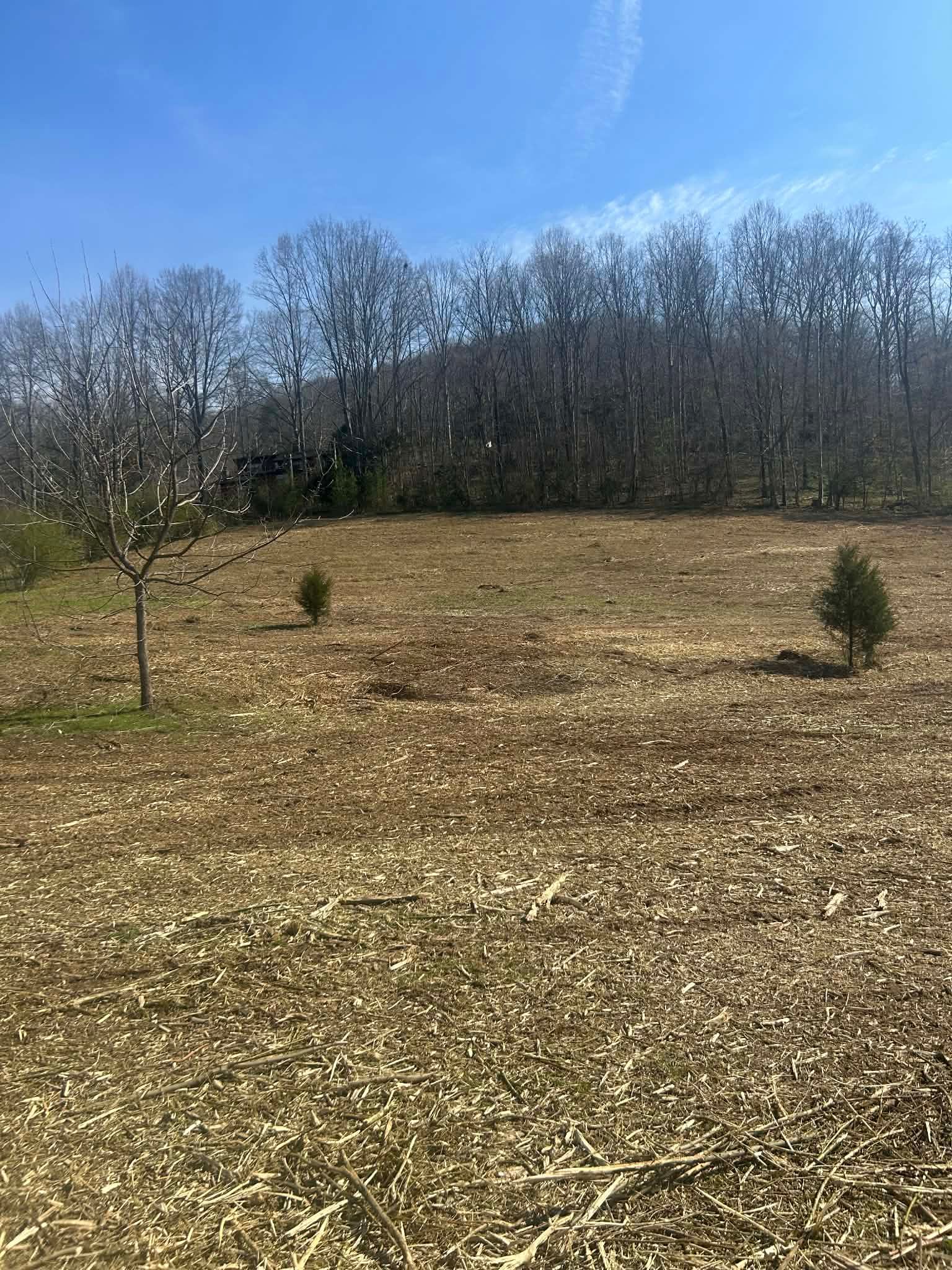  for Z's Land Management & Forestry Mulching in Smithville, TN