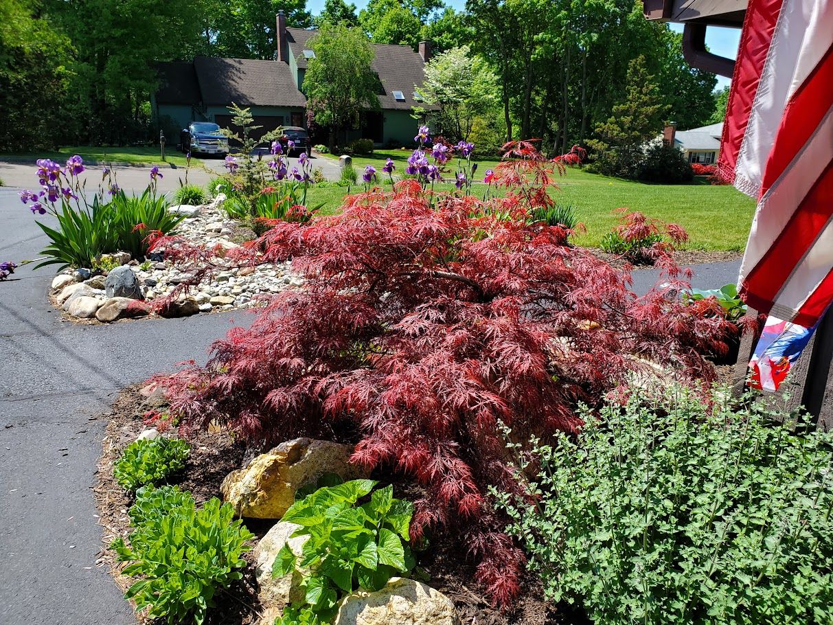  for Evolution Earthscapes, LLC in Ludlow, MA