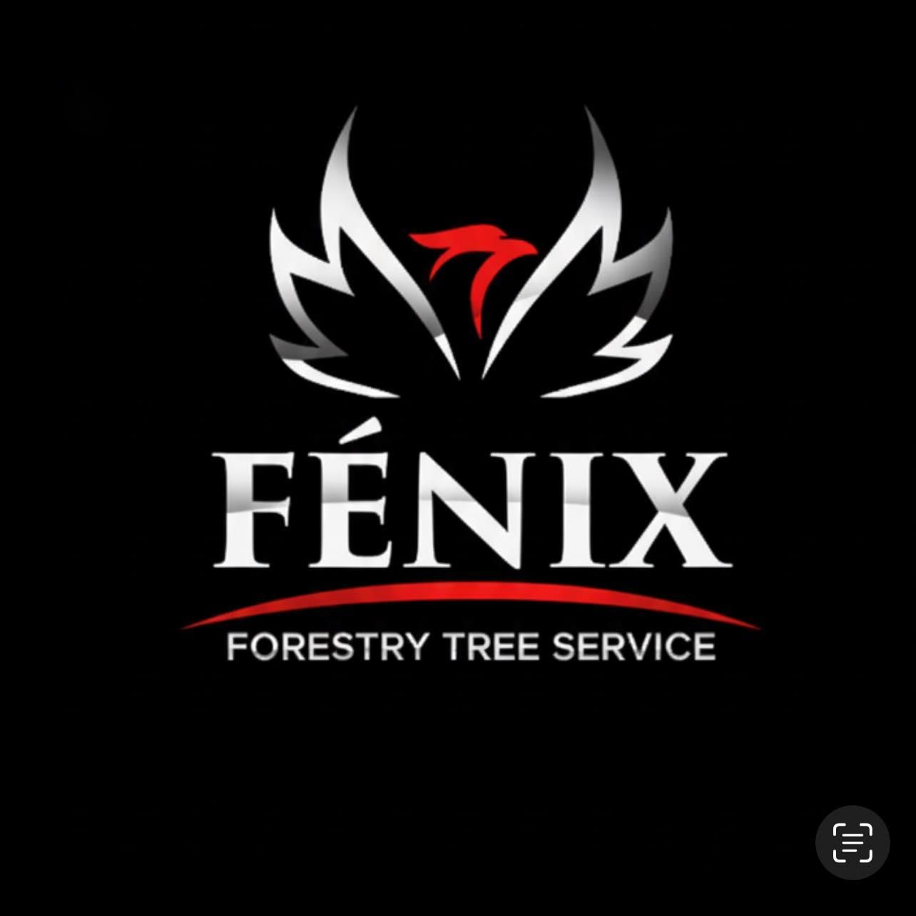  for Fénix Forestry Tree Service in Bakersfield, CA