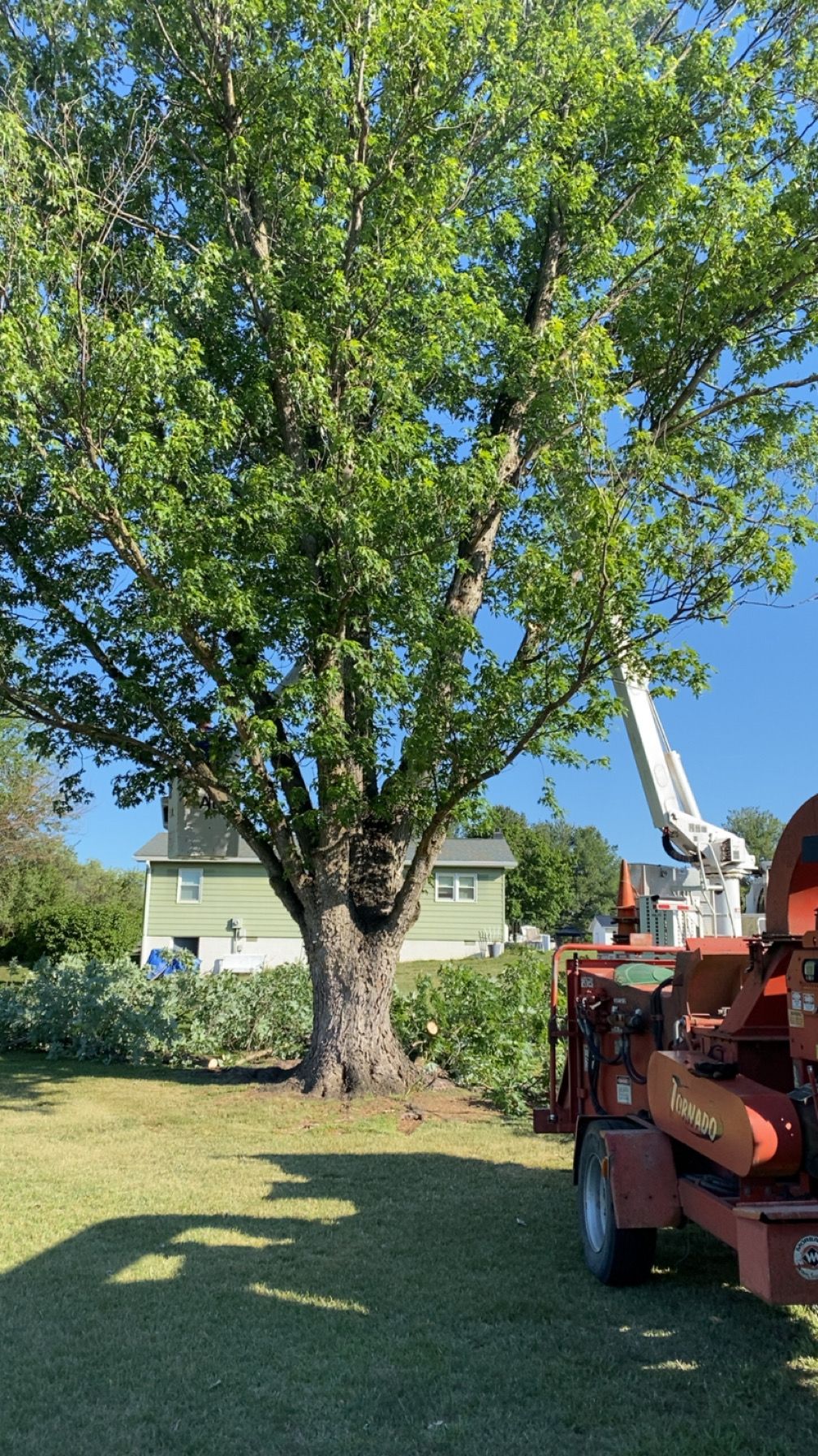 All Photos for Gray's Tree Service  in Shenandoah County, VA