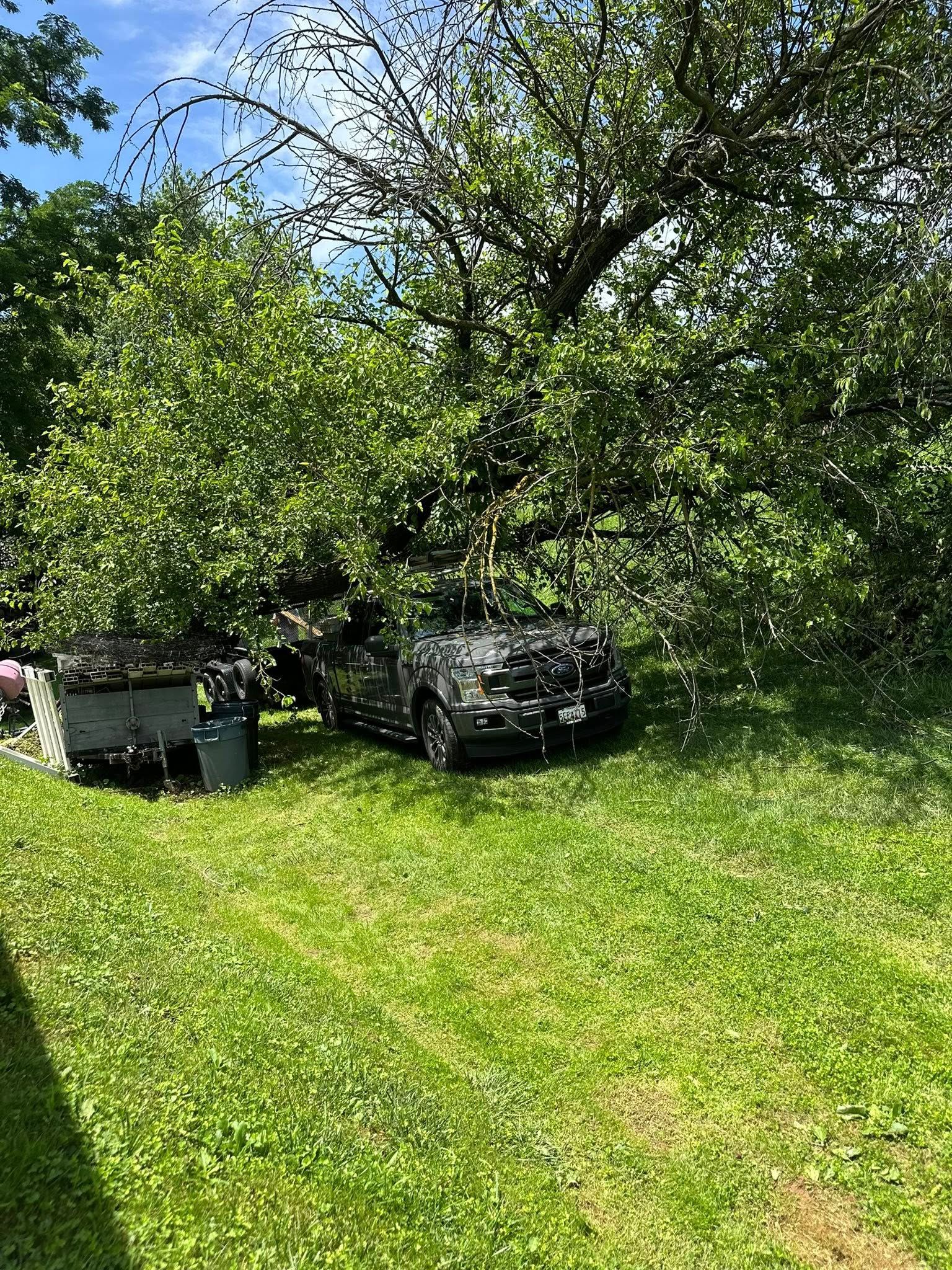 All Photos for Pleasant Valley Land Management  in Westminster, MD