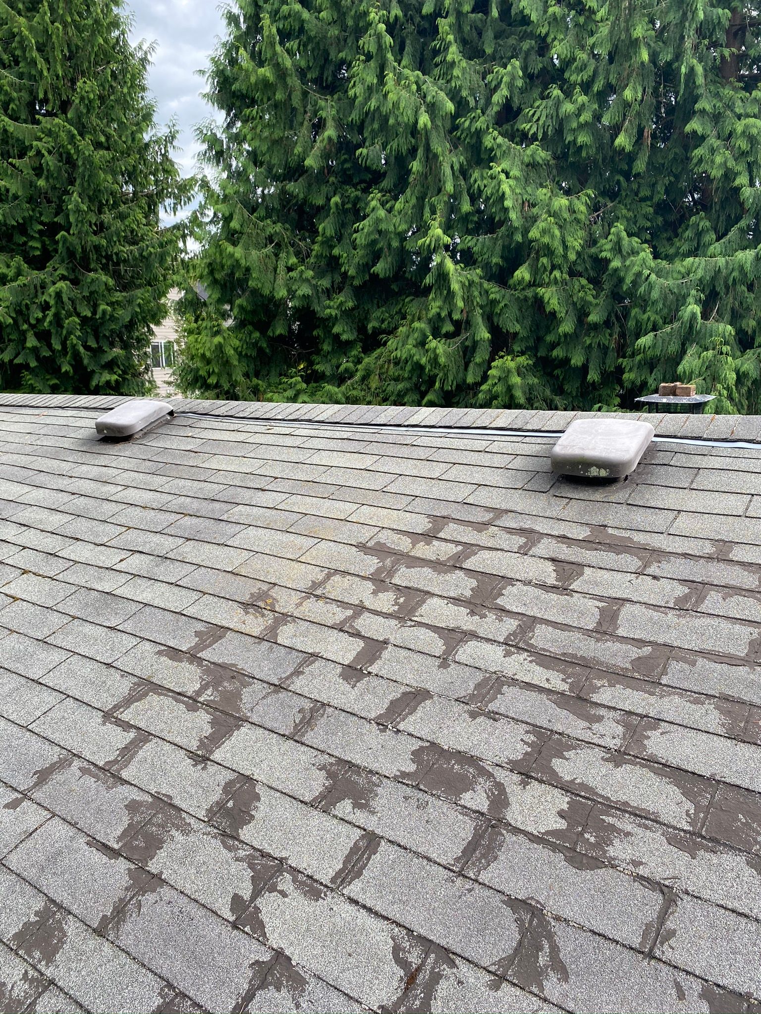  for Tony's Remodeling & Painting in Renton, WA