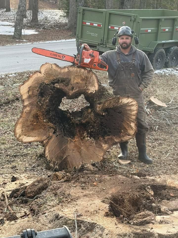  for McBee’s Tree Service in Sewanee, TN