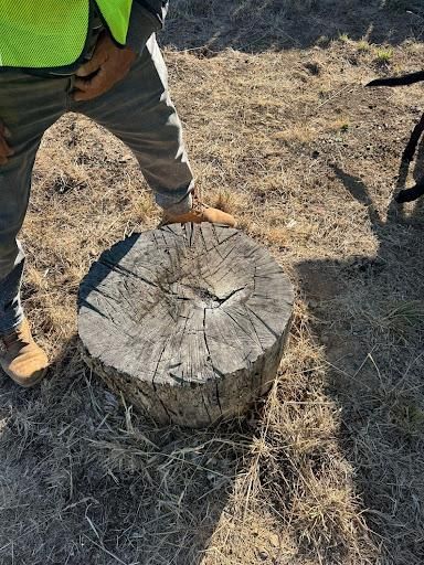  for Willamette Landscaping & Tree Services in Albany, OR