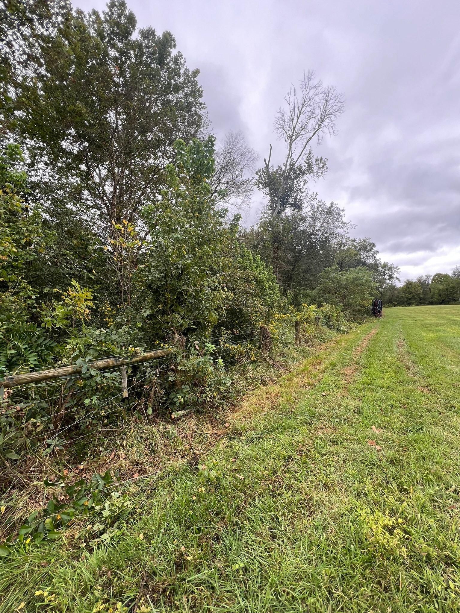  for Cedar Point Land Management in Richmond, VA