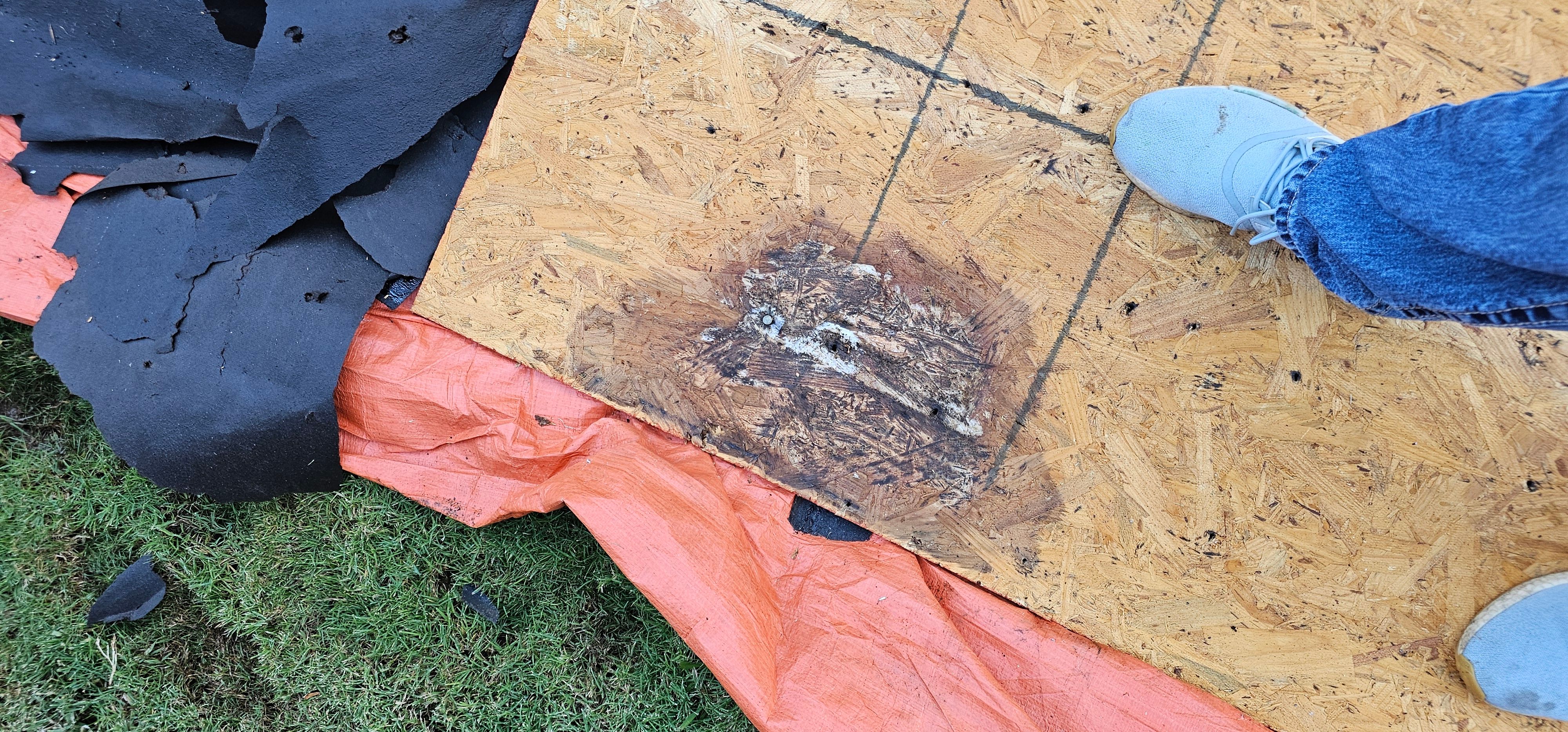 All Photos for Major League Roofing in Frisco, TX