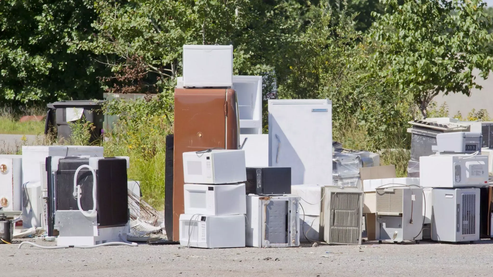  for Happy Jacks Junk Removal in Braintree, MA