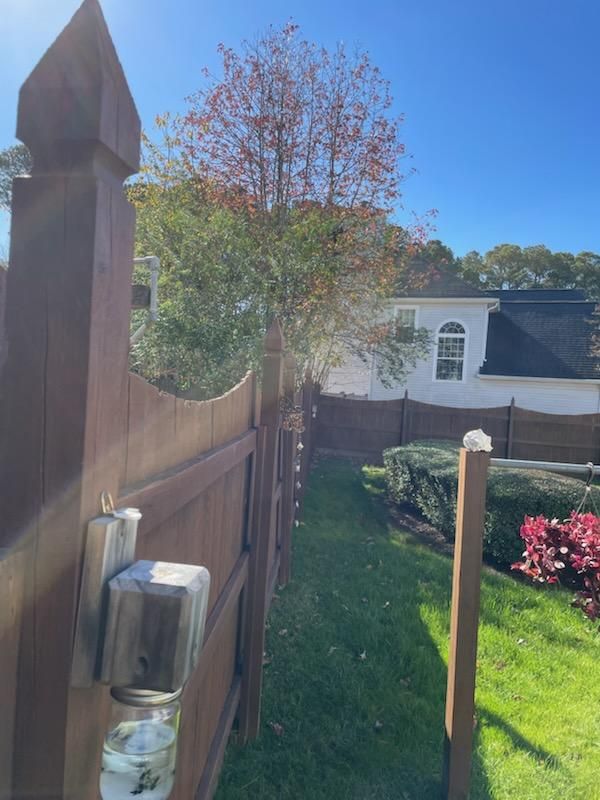  for Beach Tree Care in Virginia Beach, VA