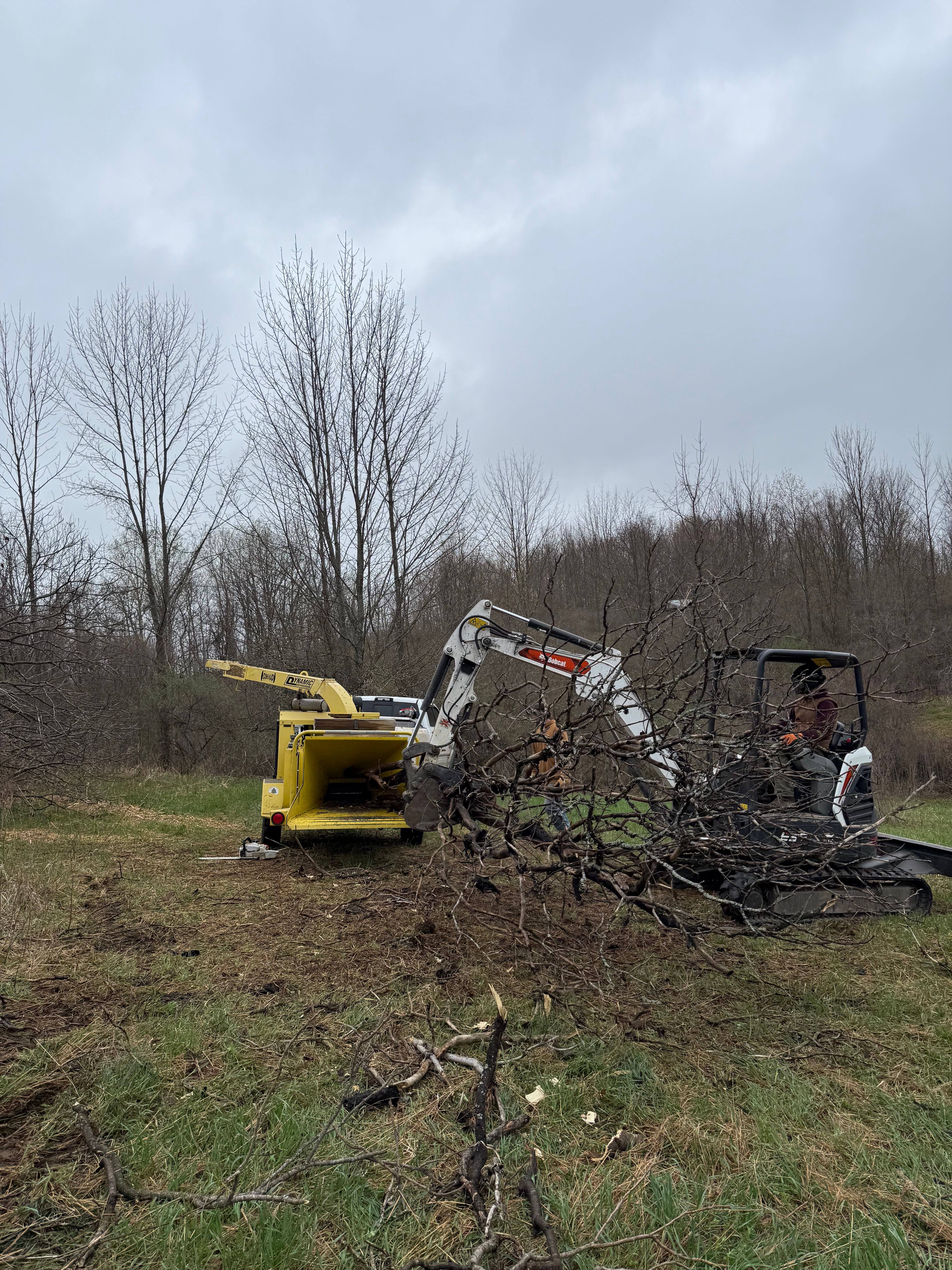 All Photos for Sterlings Tree Removal in Cobleskill, New York
