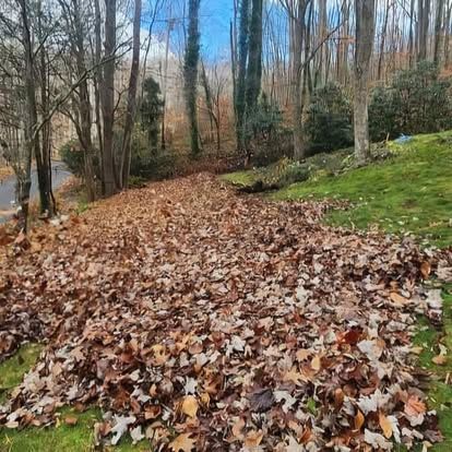  for Lopez Landscaping and Tree Service  in Waynesville, NC