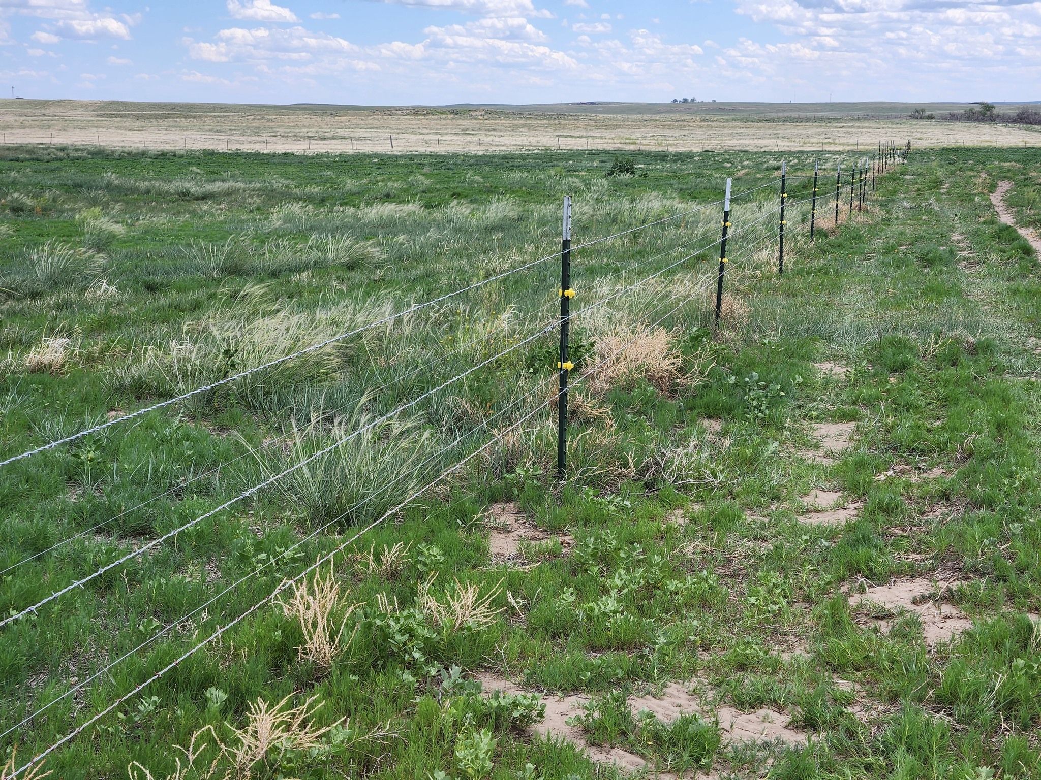 All Photos for M&N Fencing in Northeast Colorado, CO