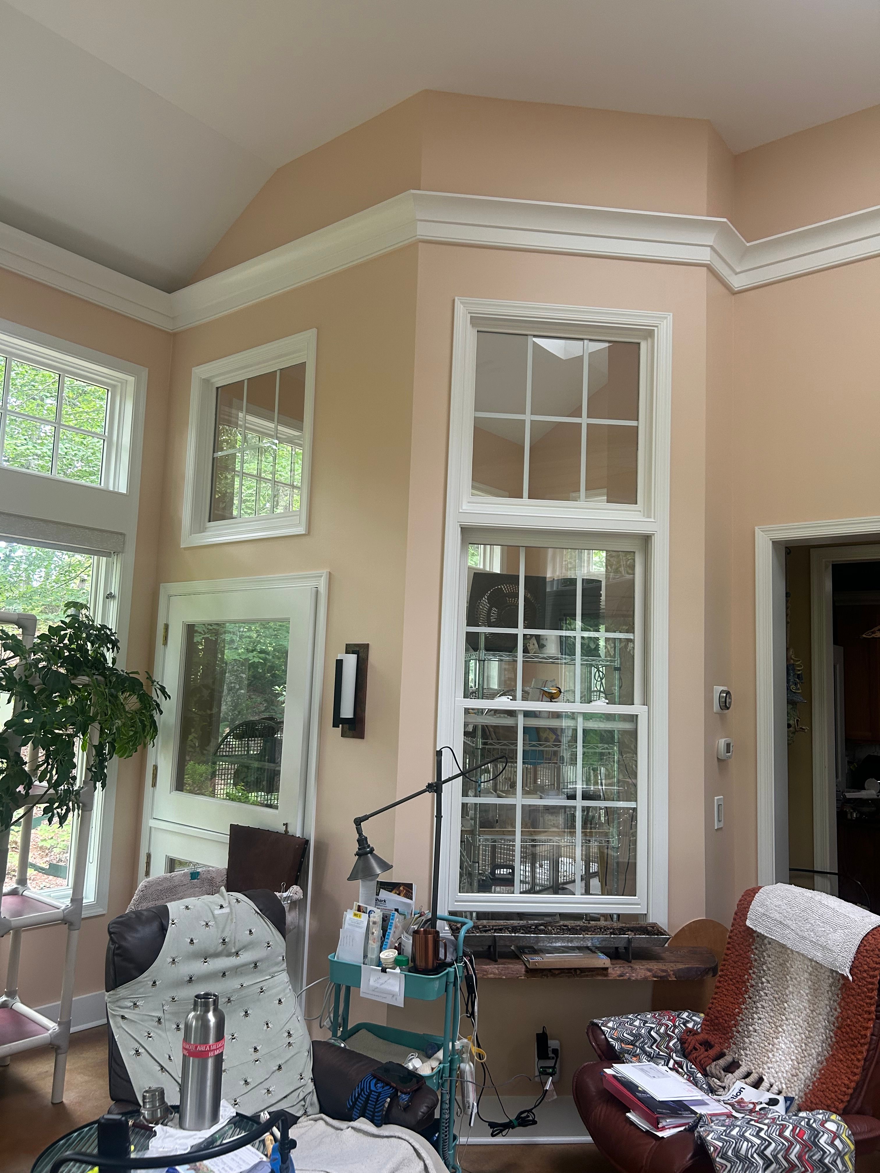 for DLP Painting Services in Charlottesville, VA