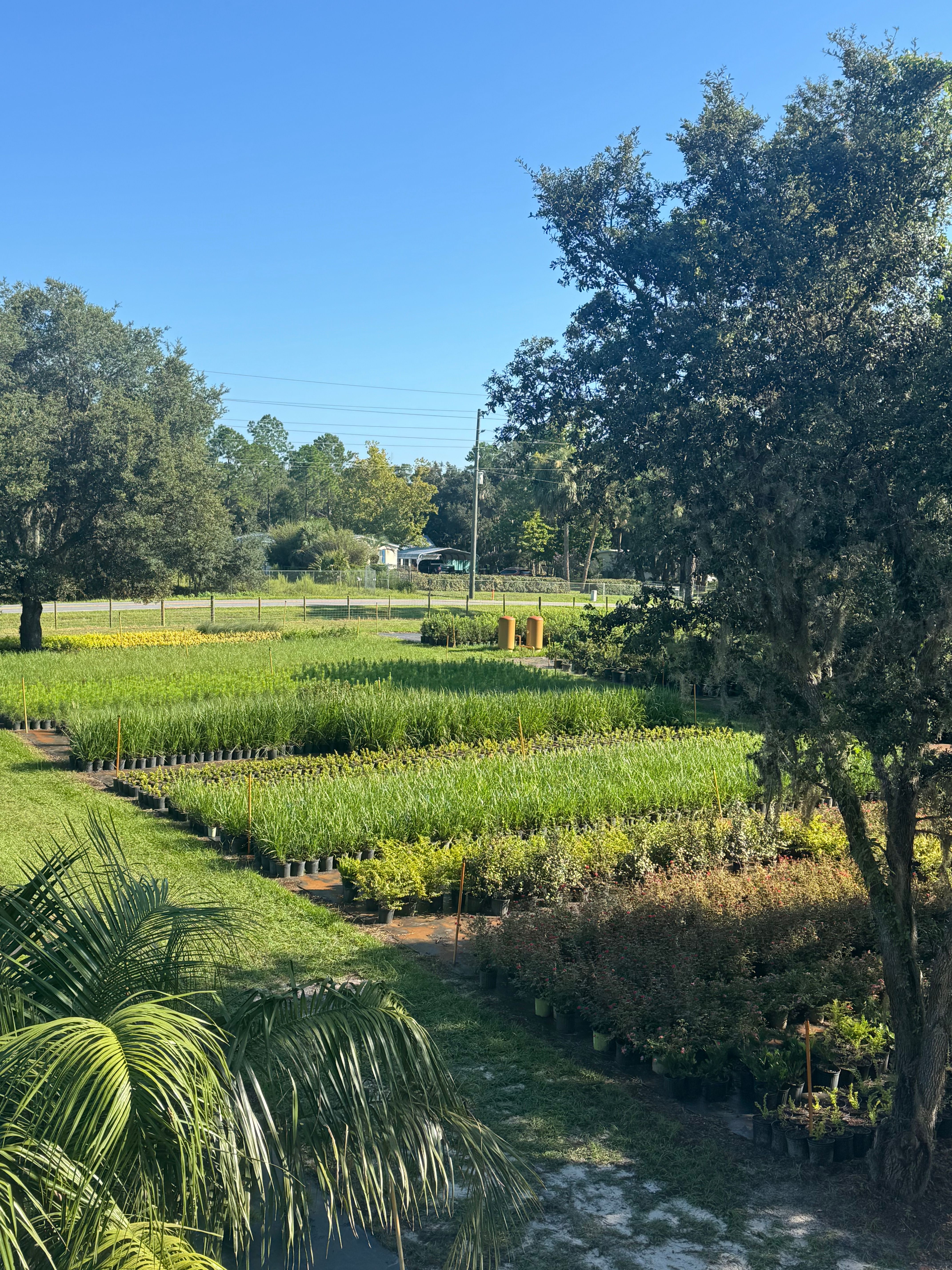  for Southern Roots Tree Farm in Crystal River, FL
