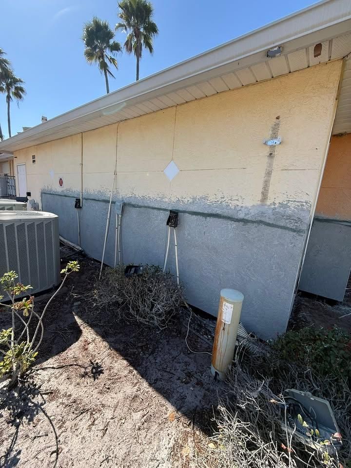  for Escorpio Painting in Tampa, FL