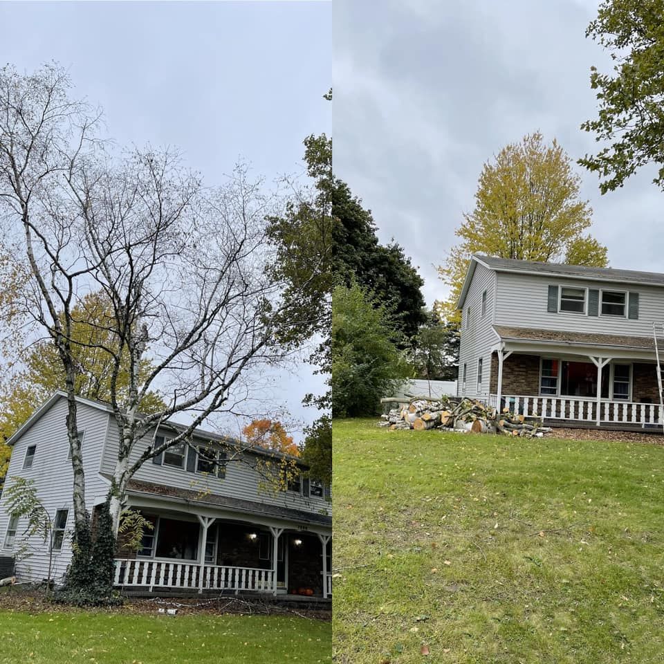  for Branching Out Tree Service in Hastings, MI