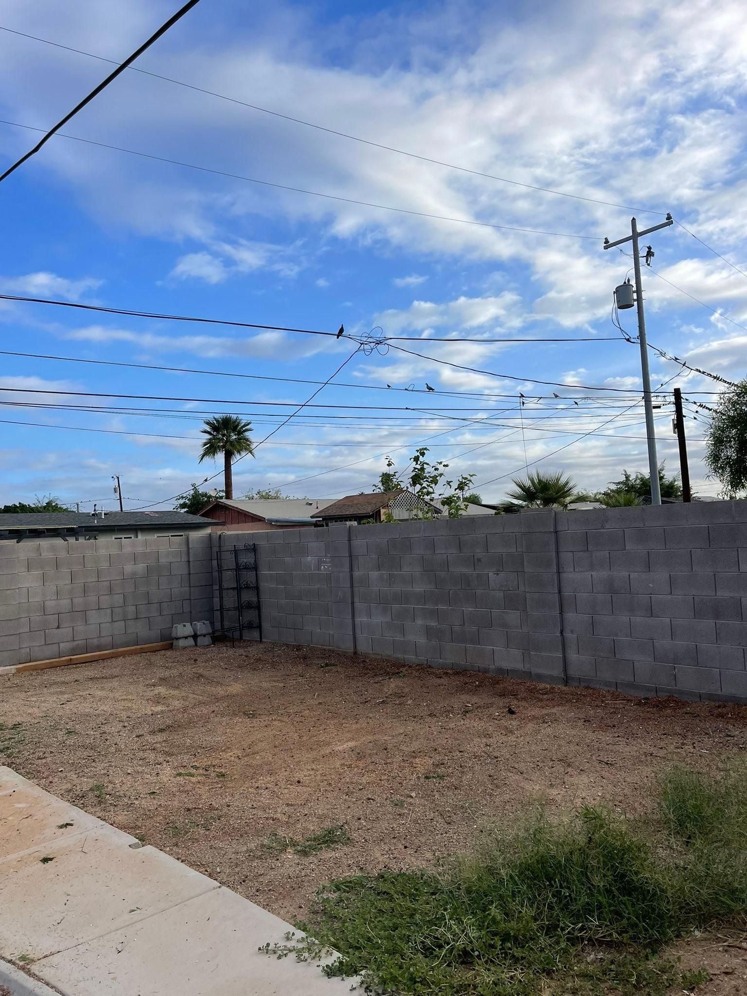  for Oliver L. Palm & Tree services in Yuma County, AZ