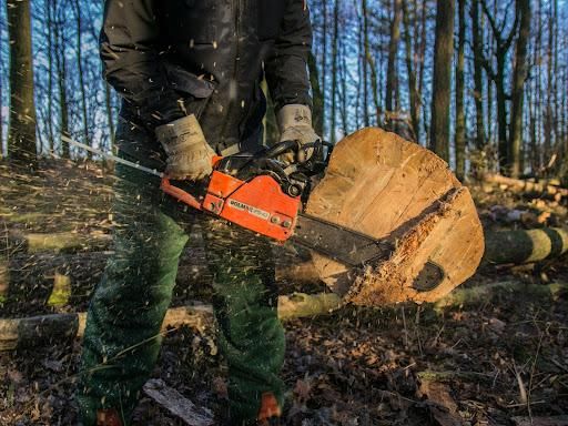  for Sloan Tree Service in Aurora, CO