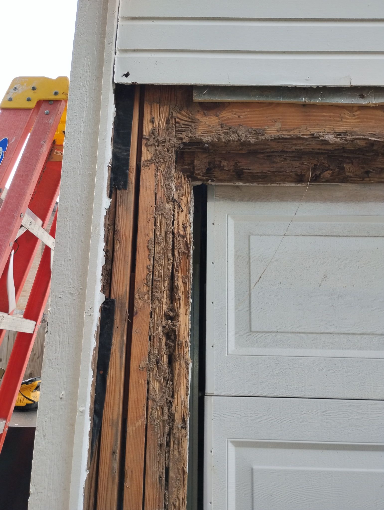  for PJC Residential Services in Katy, TX
