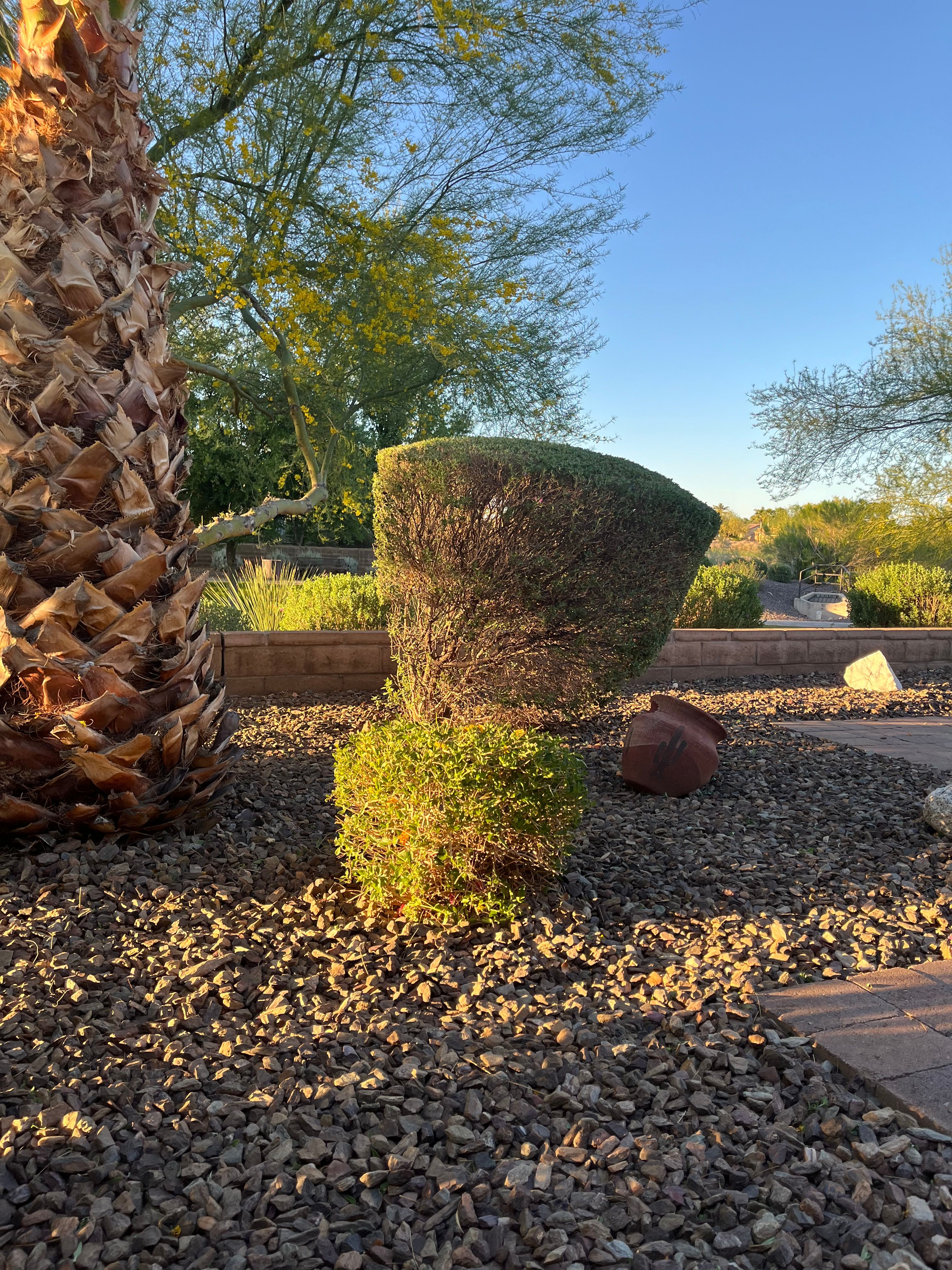 All Photos for Grand Canyon State Landscape Inc. in Surprise, AZ