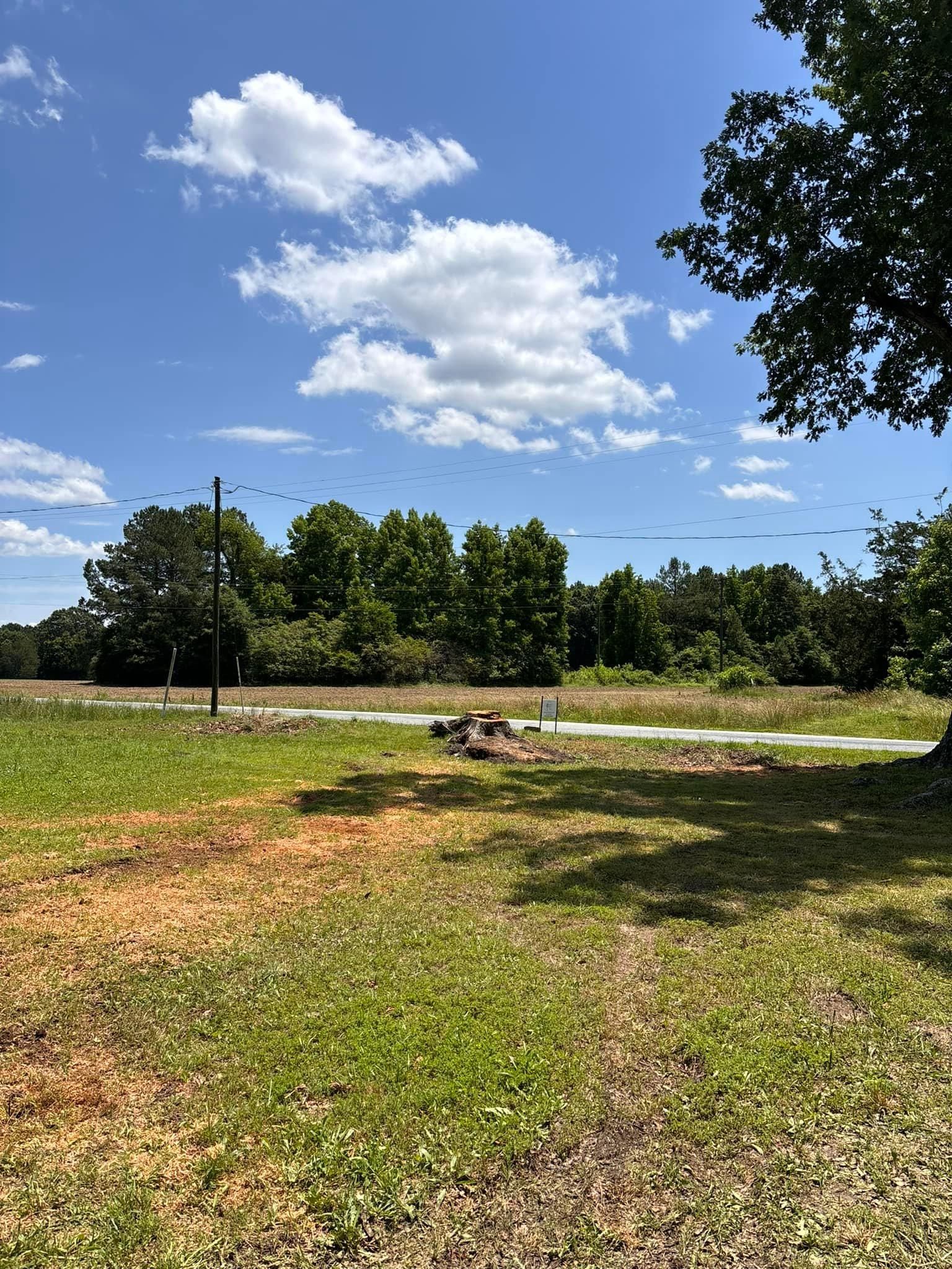  for Ascending Tree Service LLC in Kenbridge, VA