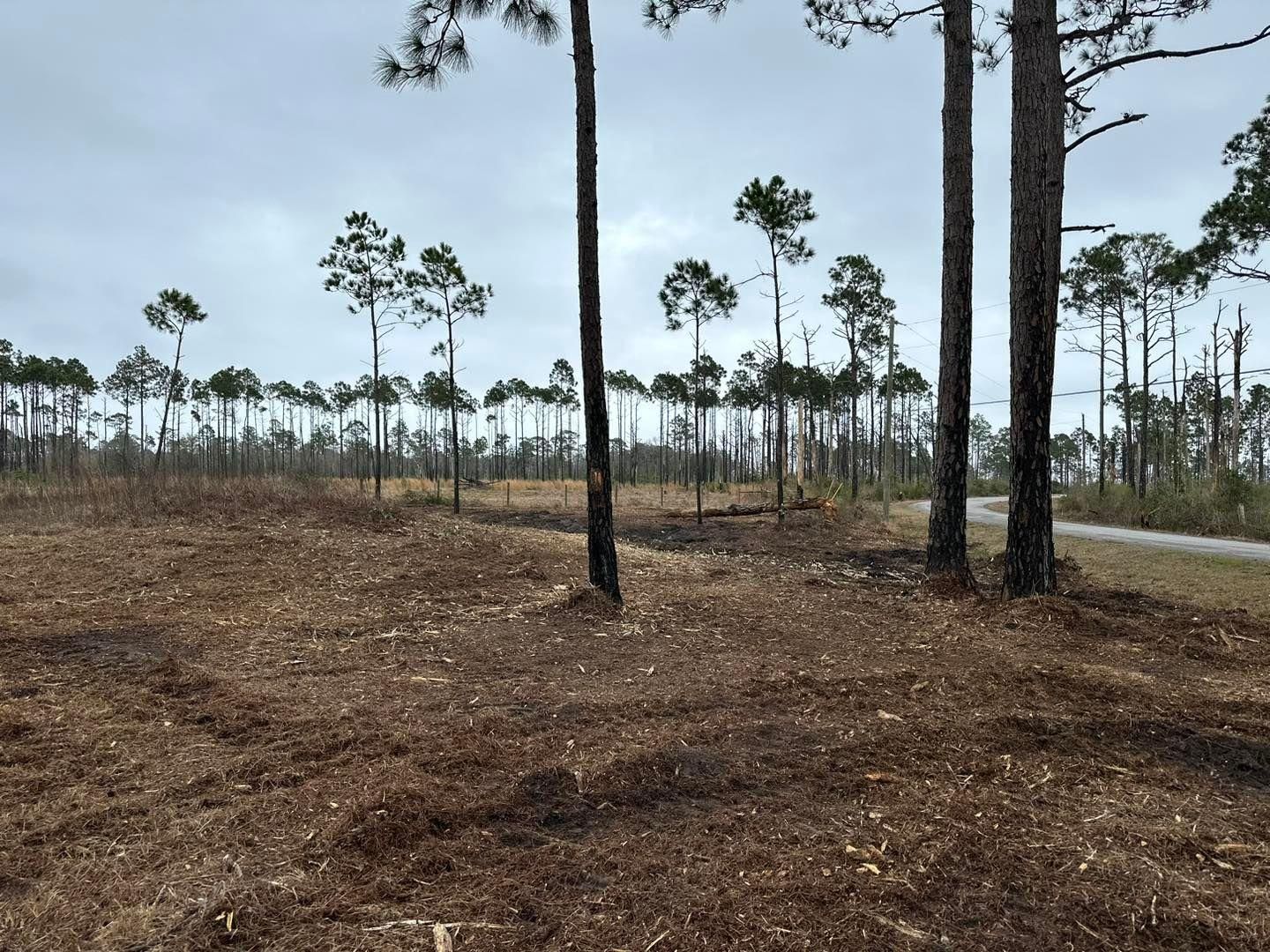 All Photos for White’s Land Maintenance in Milton,, FL