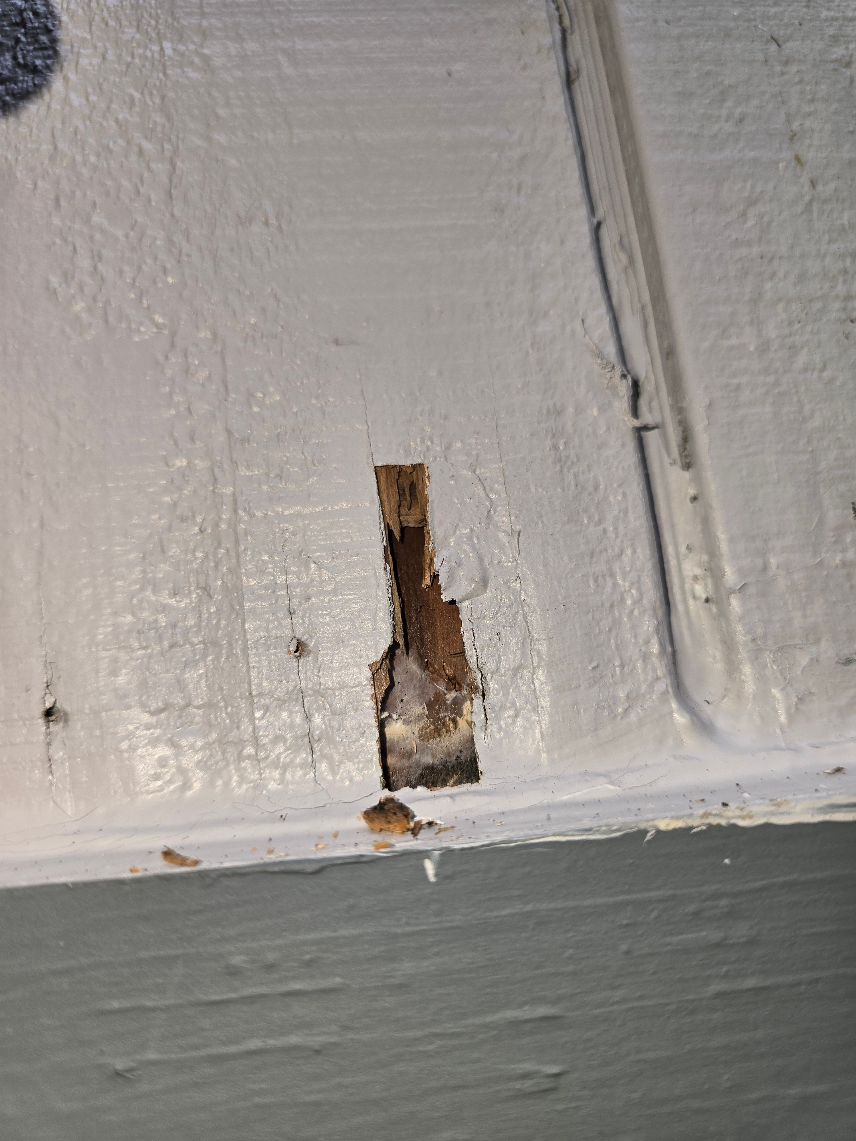 All Photos for Matthew Brooms Construction  in Coos Bay, OR