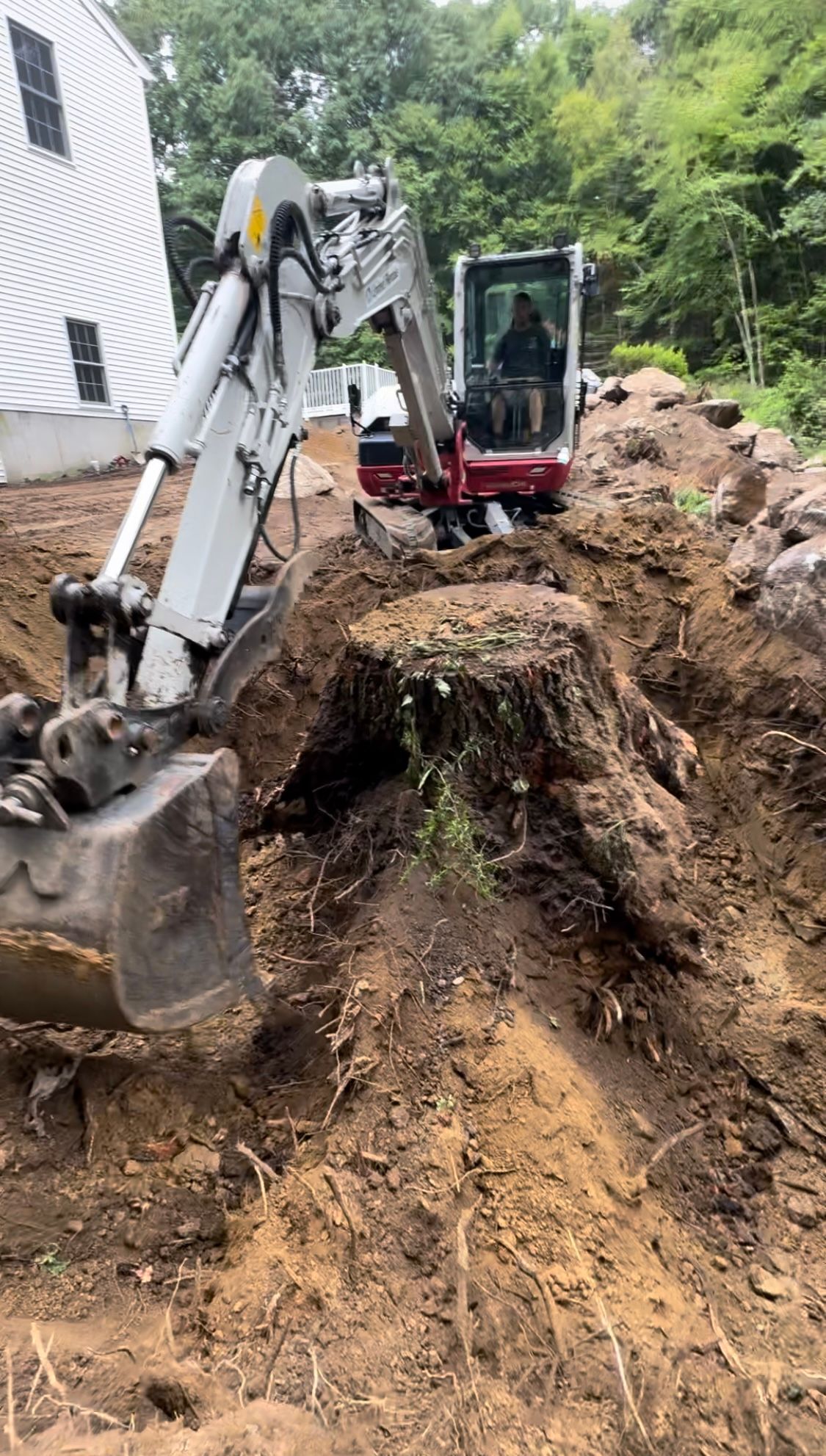  for Doyle & Sons LLC in Quincy, MA