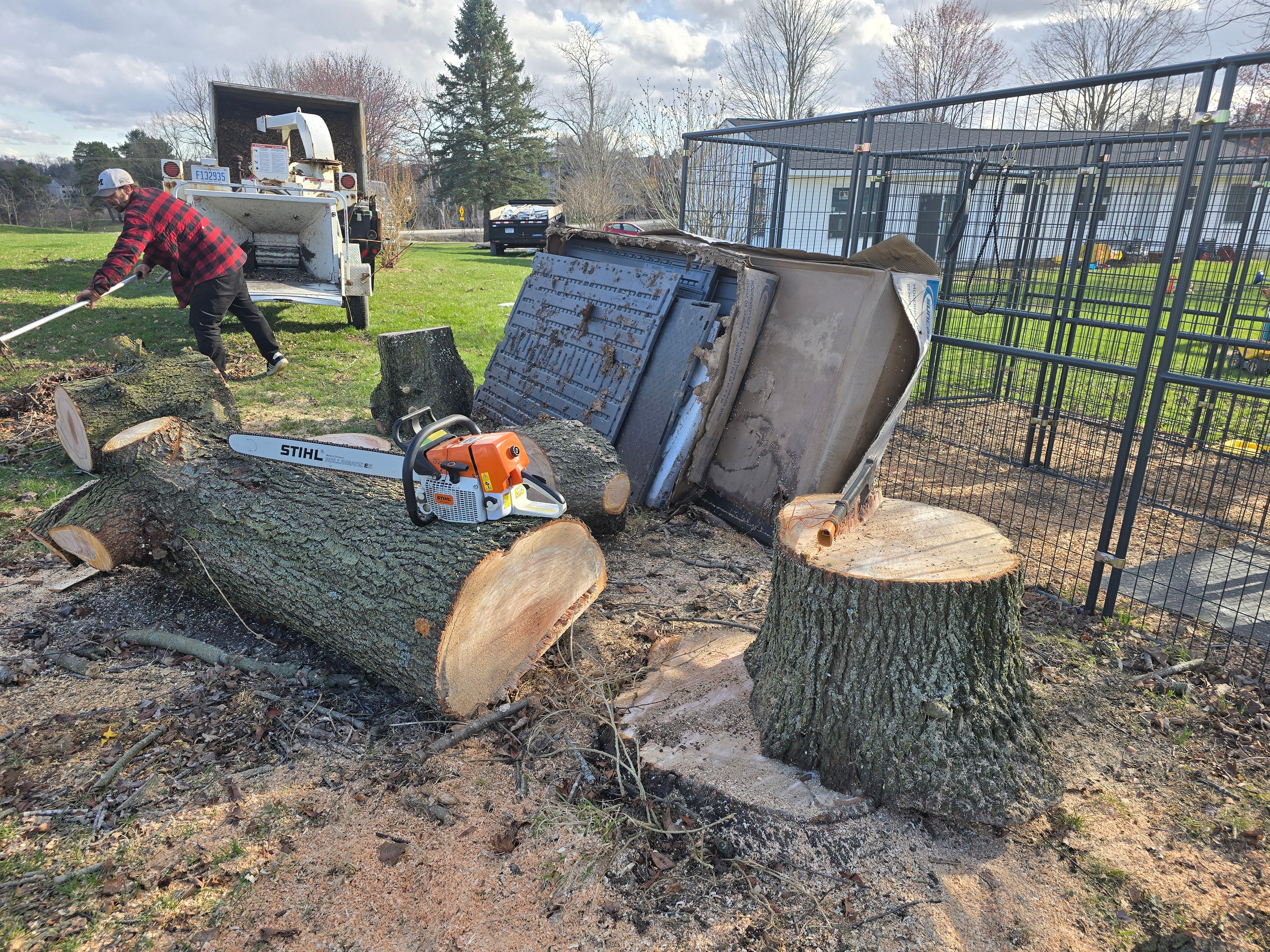  for D Hale Tree Service in Dexter, MI