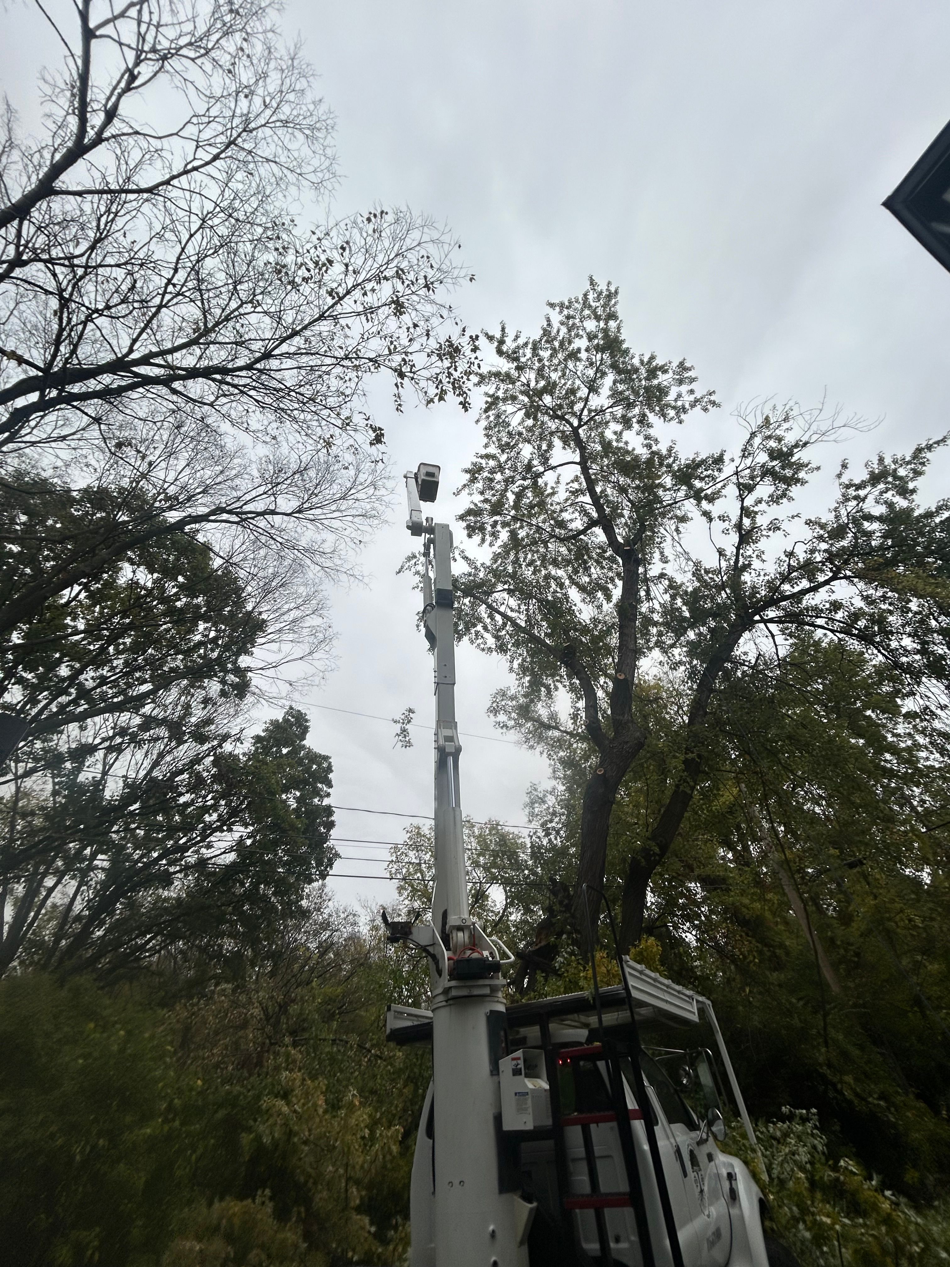 All Photos for Cross Family Tree Service in Kearney, MO