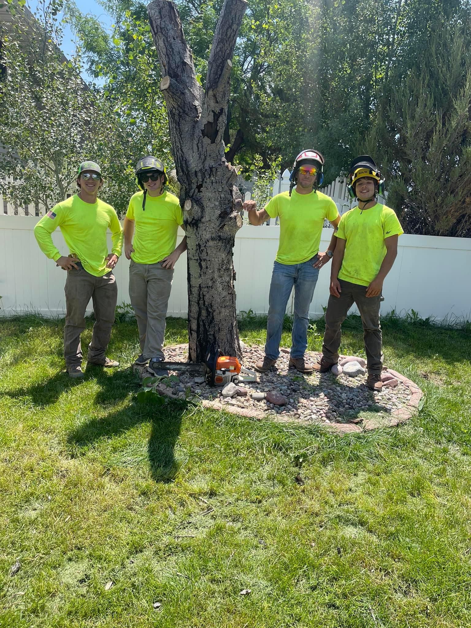  for Clean Cut Tree Service in Gillette, WY