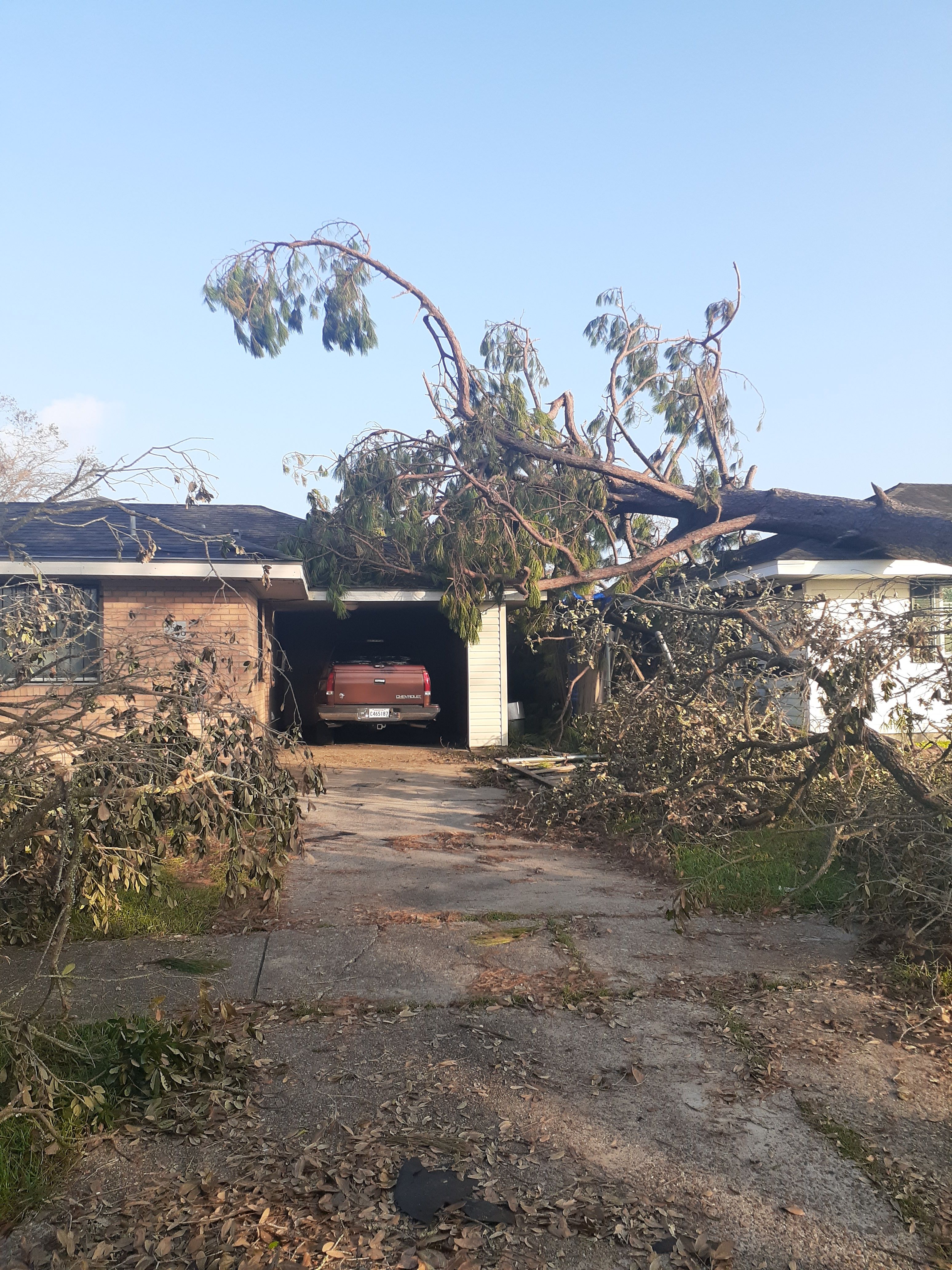  for Professional Tree Service USA in Chattanooga, TN
