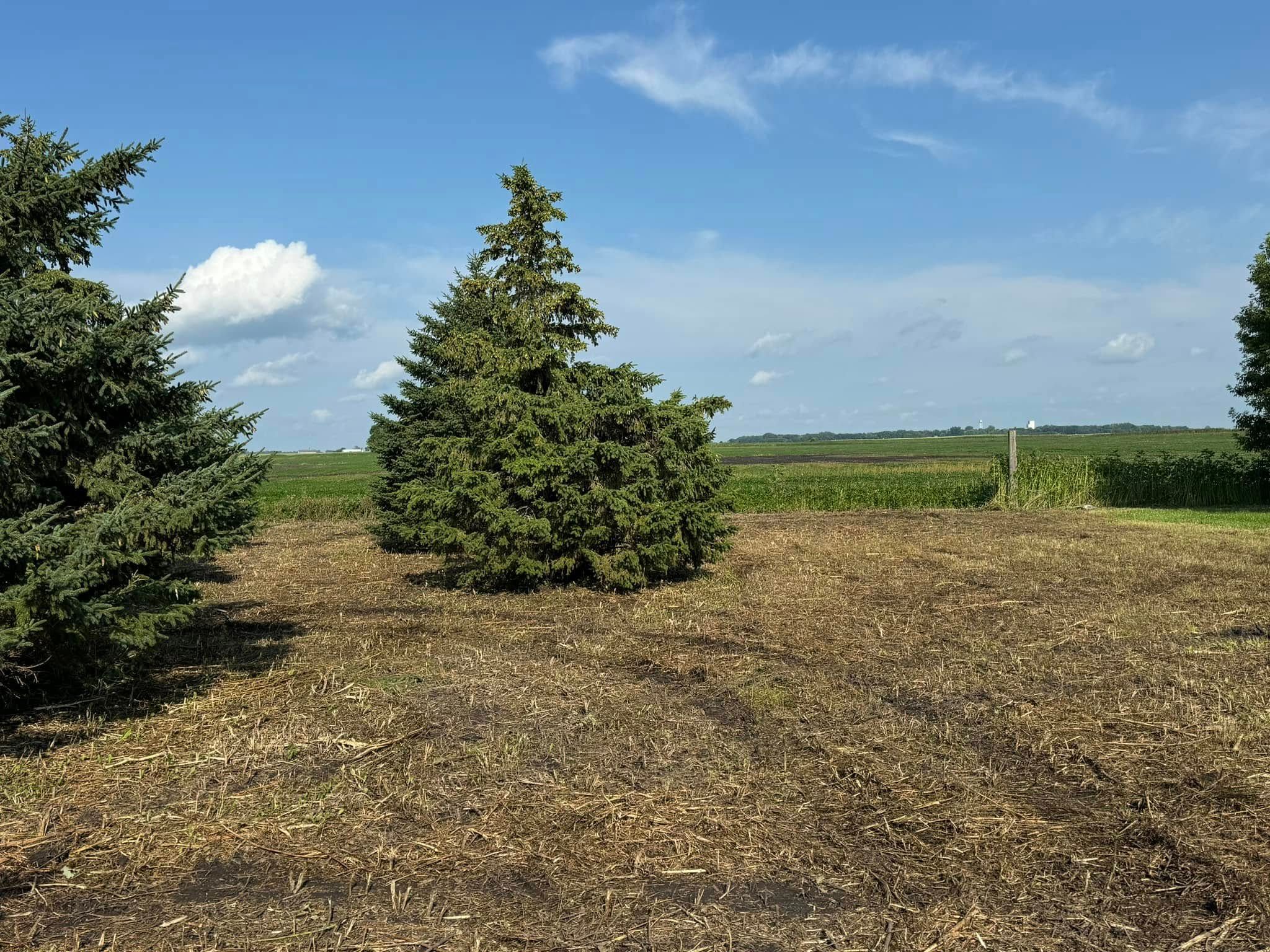  for RTK Co. Land Management in Raymond, MN
