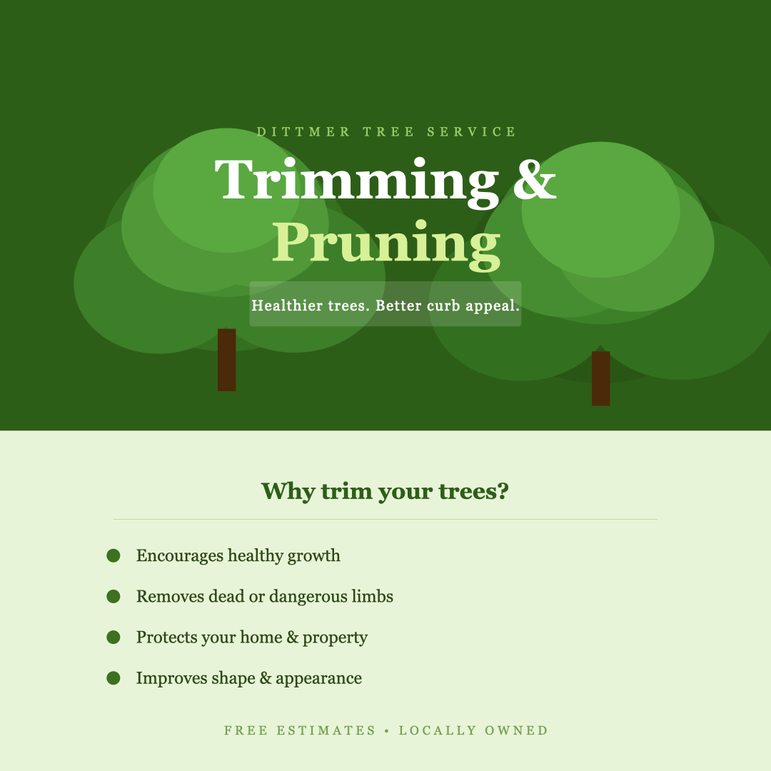 All Photos for Dittmer Tree Service in Davenport, IA