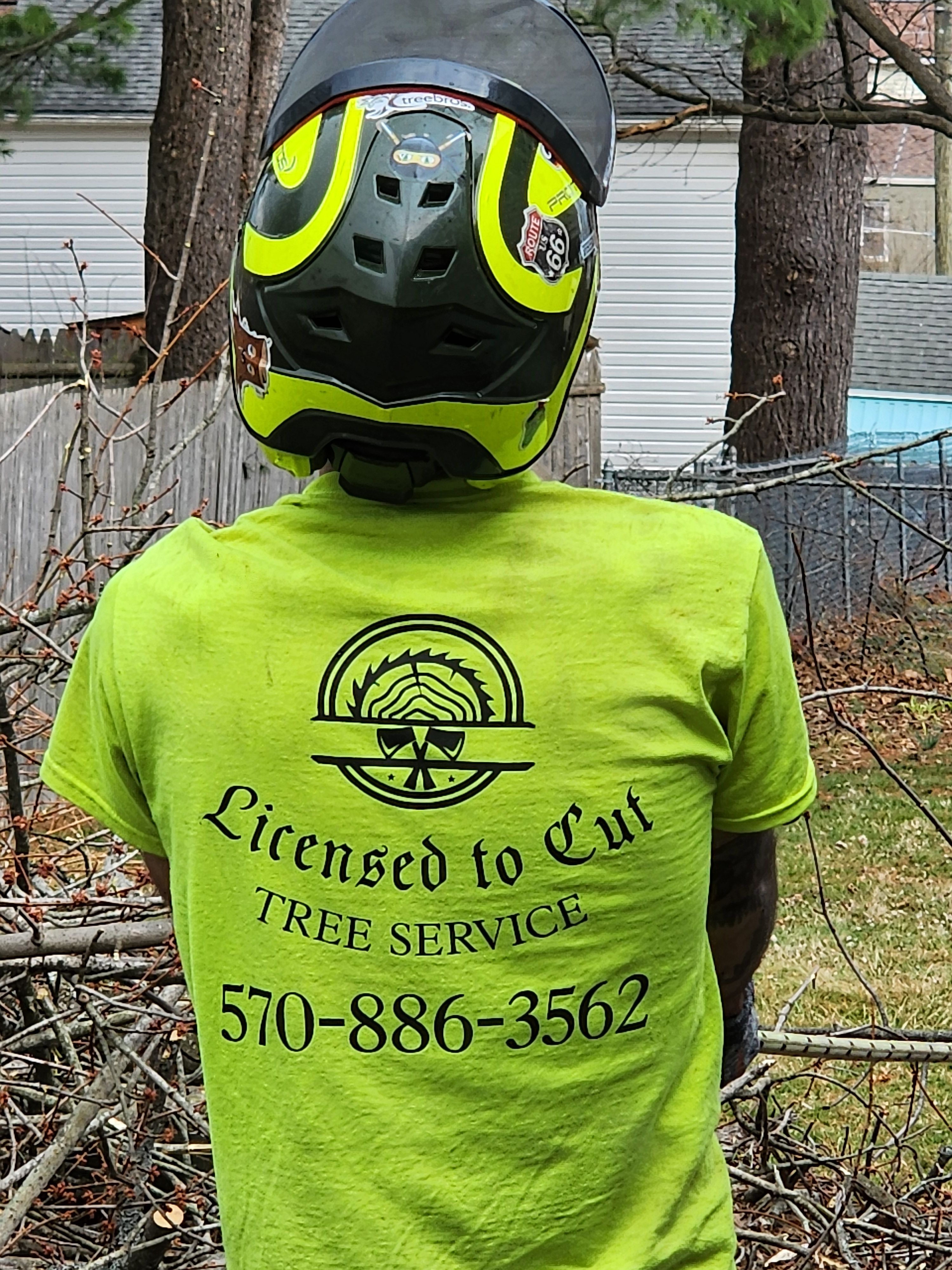 Tree Removal for Licensed to Cut Tree Service in Athens, PA