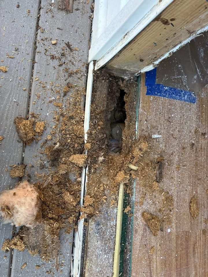  for The Handy Veteran in Athens, GA