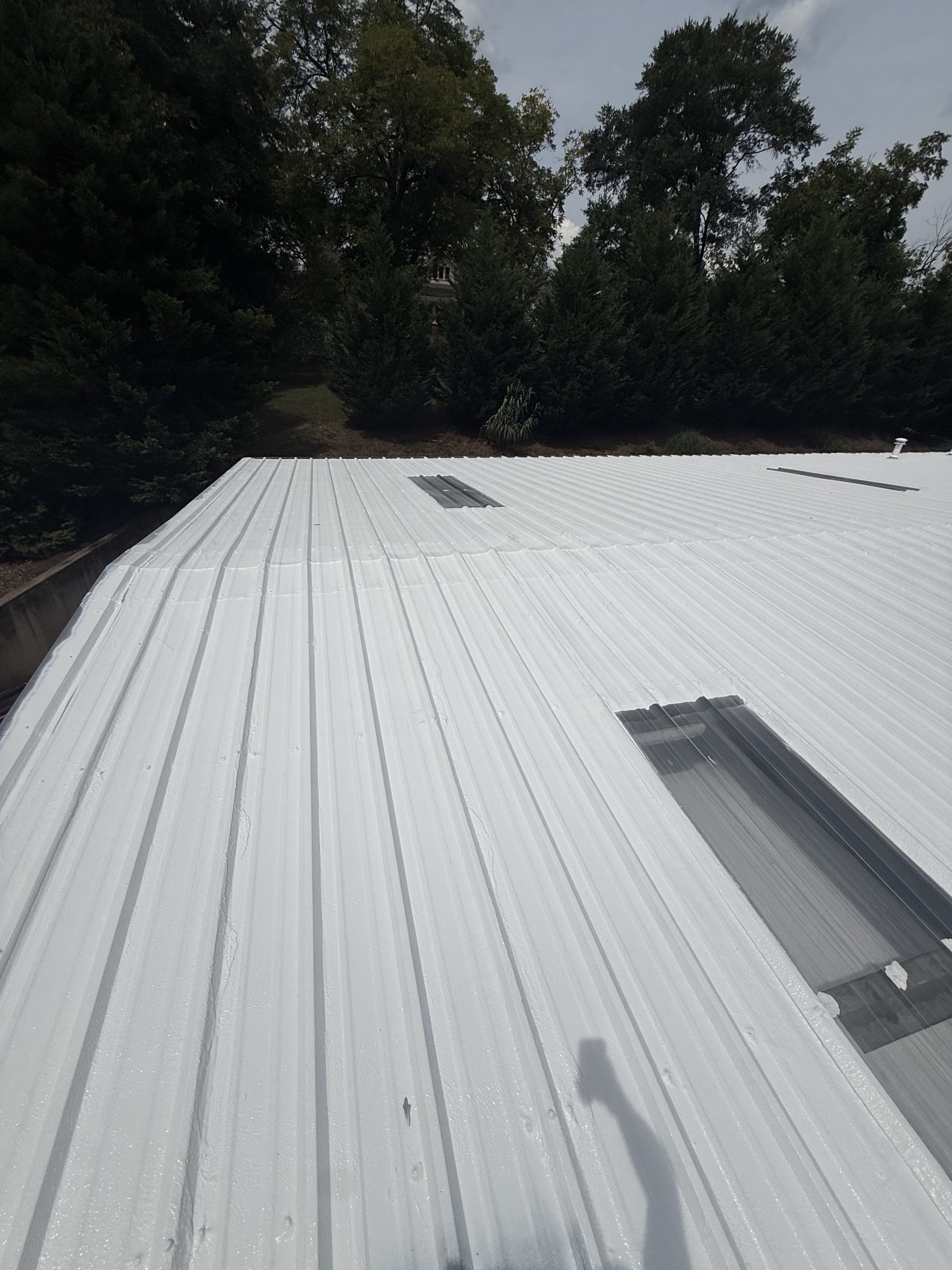  for Southern Integrity Roofing in Loganville, GA