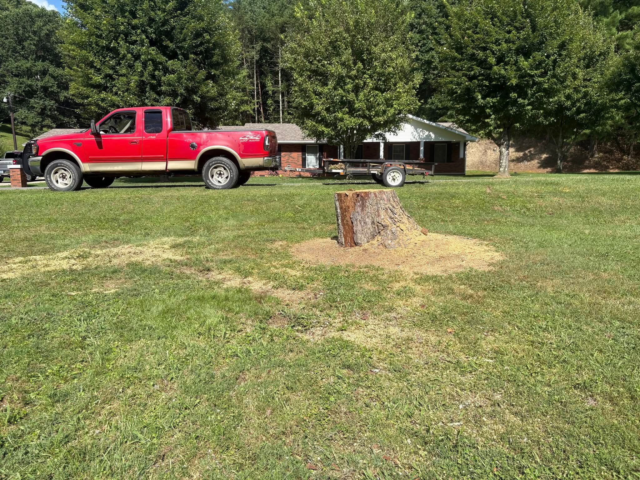  for Skys The Limit Tree Management in Morehead, KY