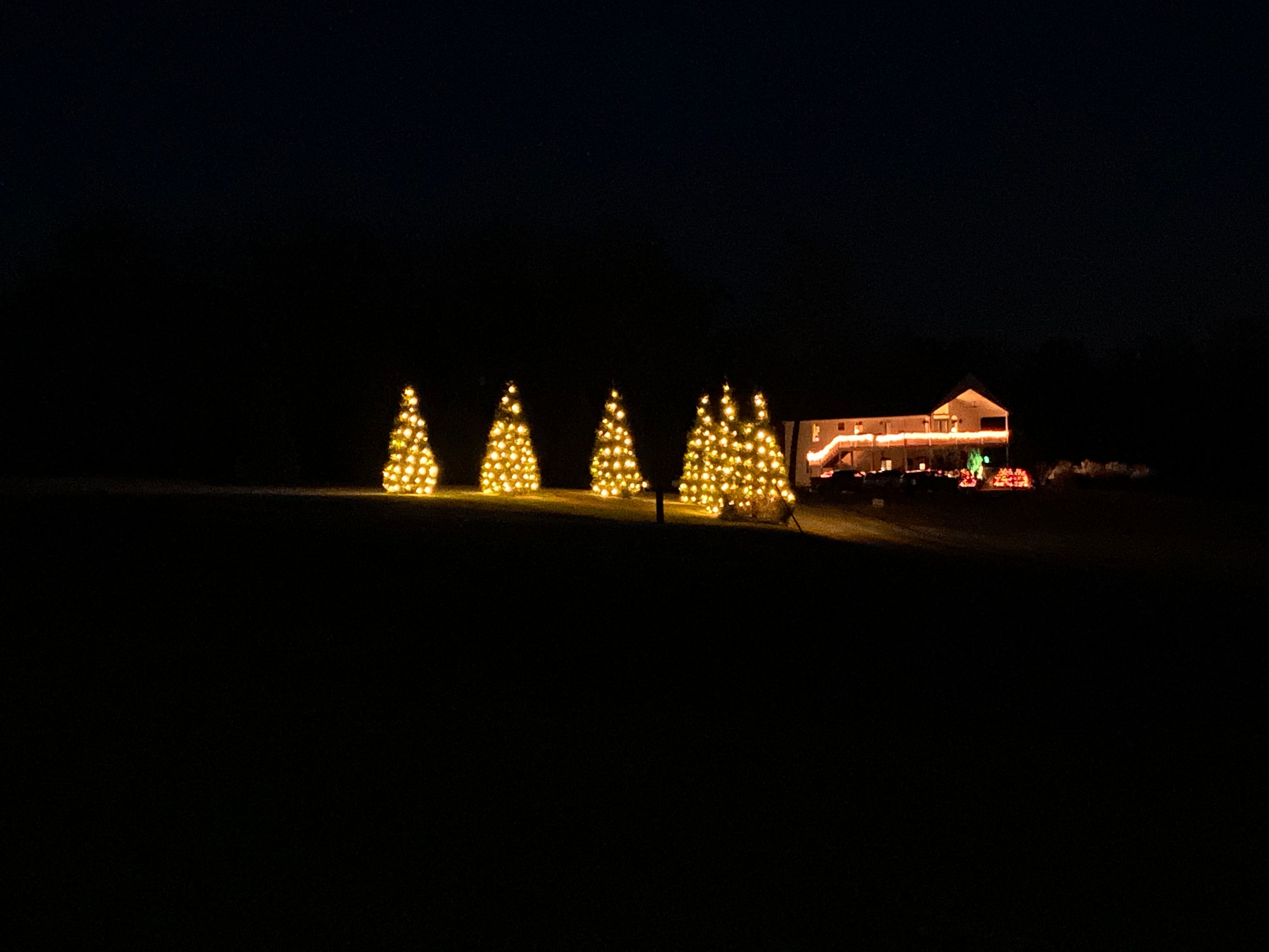  for Elite Lighting Solution in Midlothian, VA