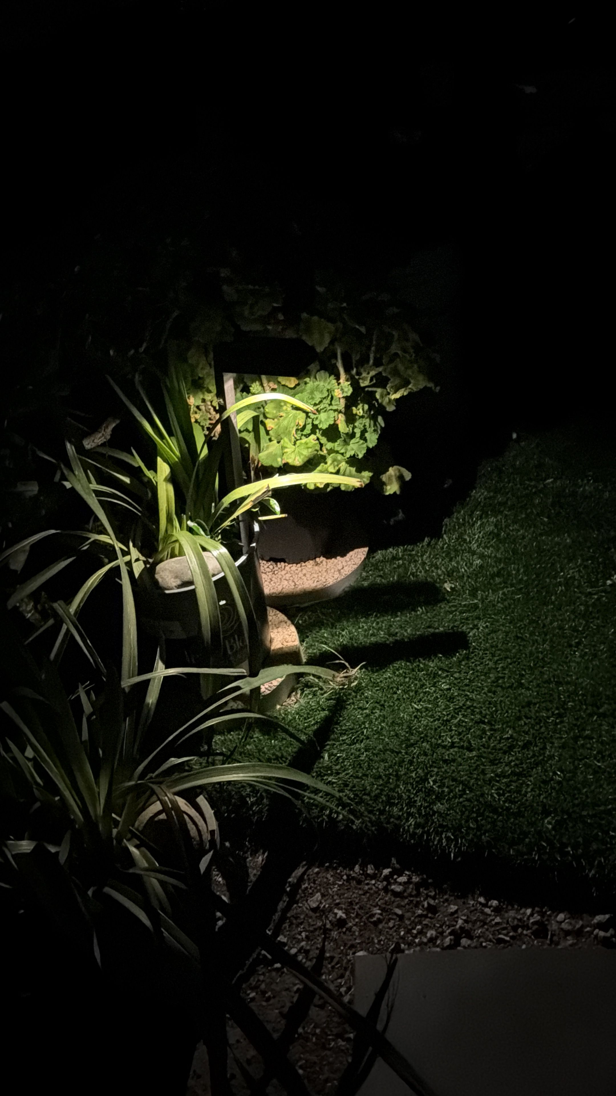  for CBA Landscaping in Hayward, CA
