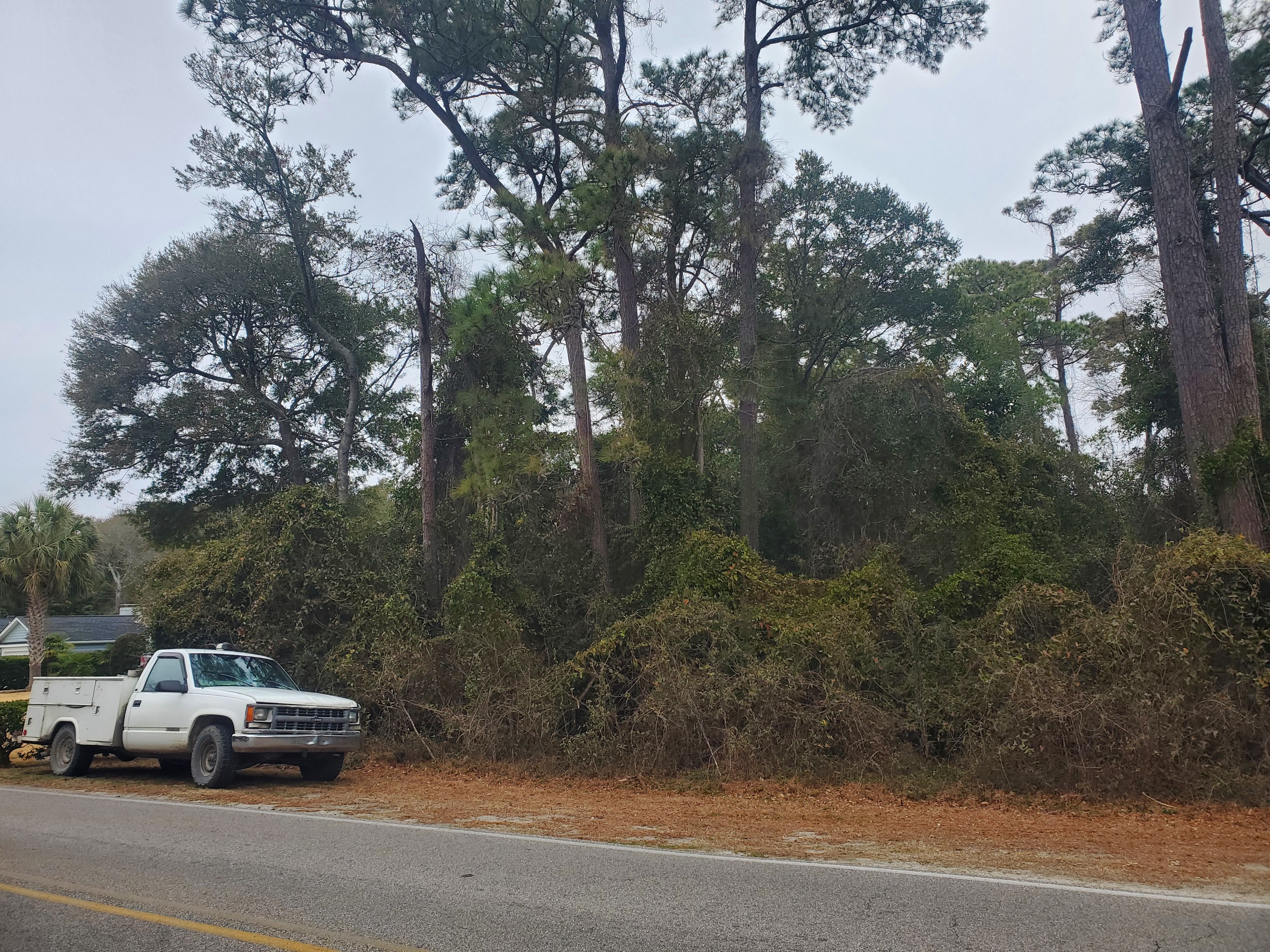All Photos for TJ Farm and Land Management in Loris, SC