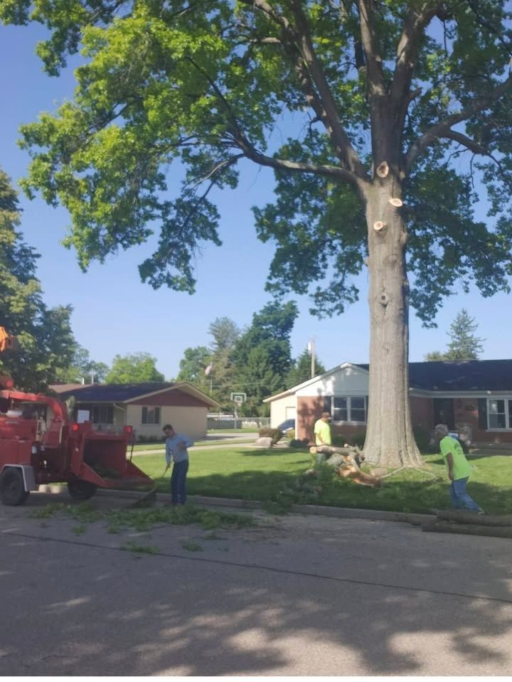  for Carpenter's Tree Service in Aurora, IN