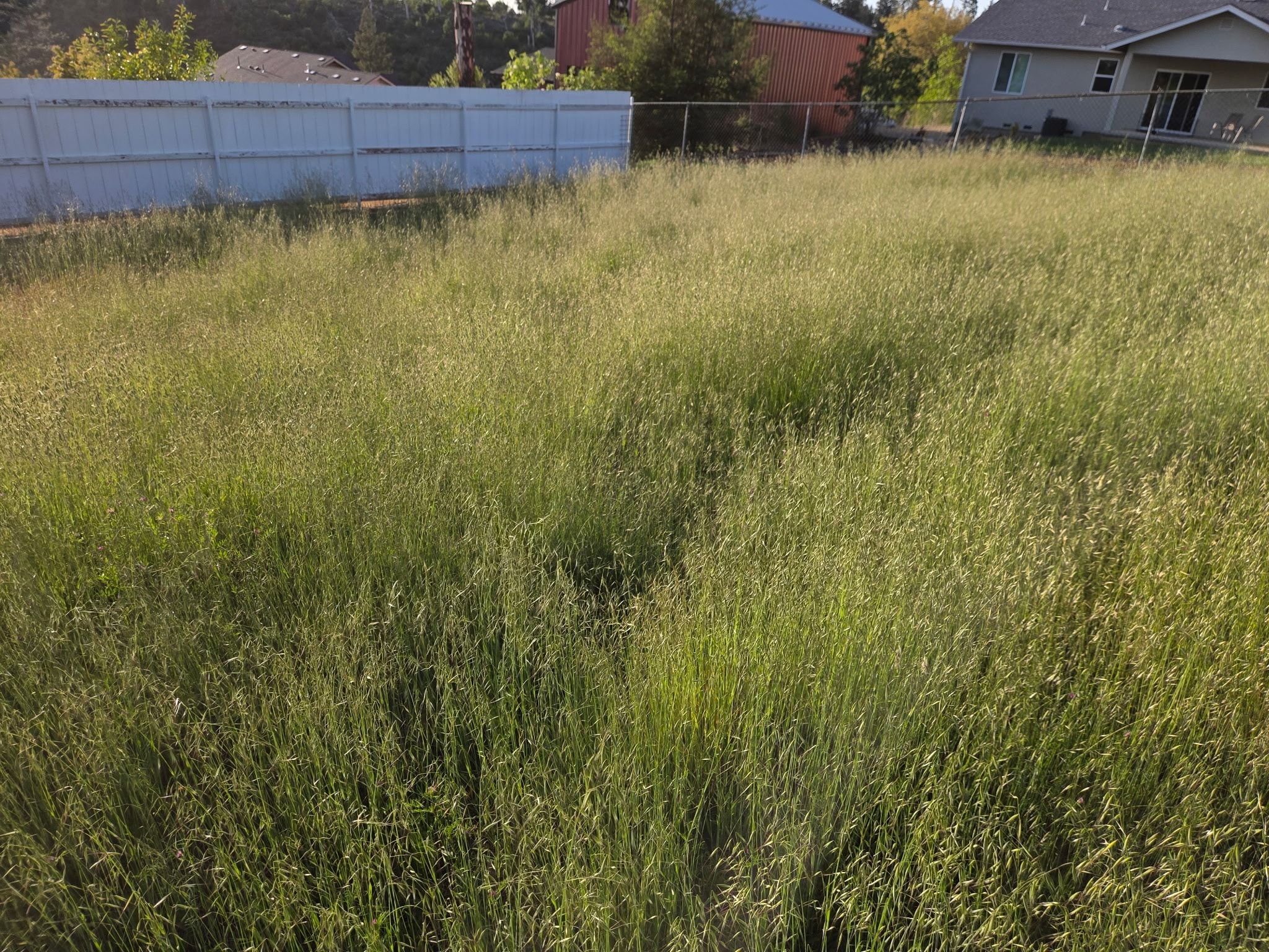 Hardscaping Landscaping for Gregg Yard Maintenance in Paradise, CA