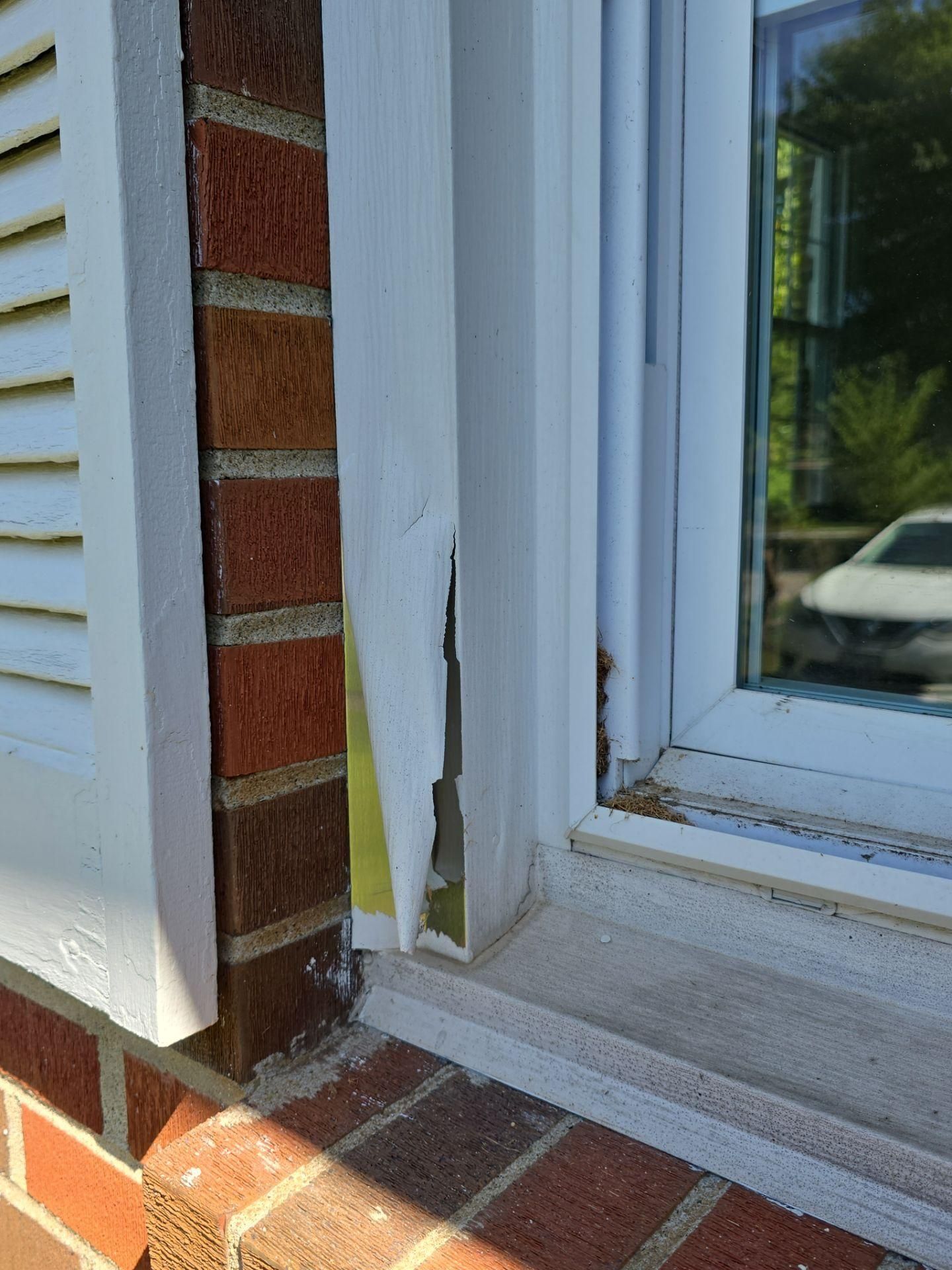  for ProMaster Painting in Clarksville, TN